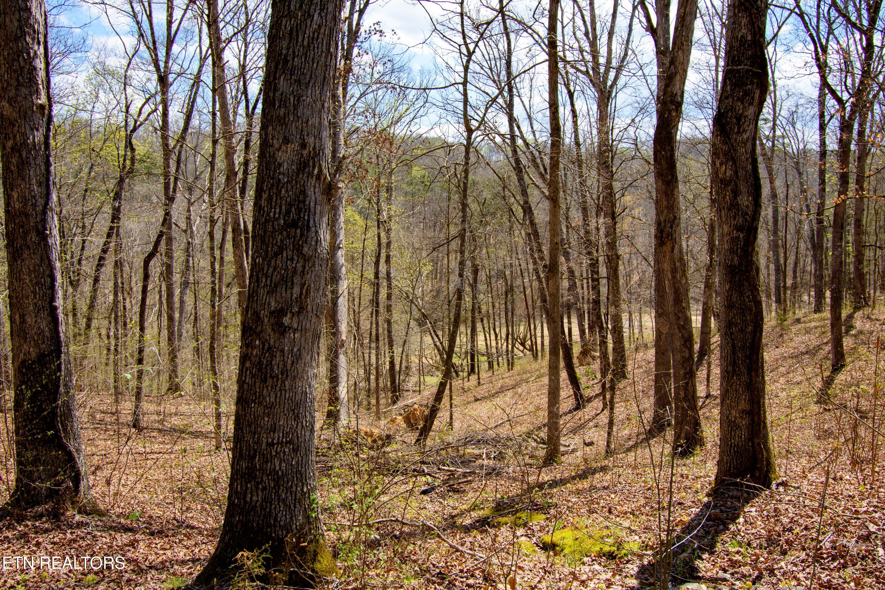 Turtle Dove Trail Dandridge TN 37725