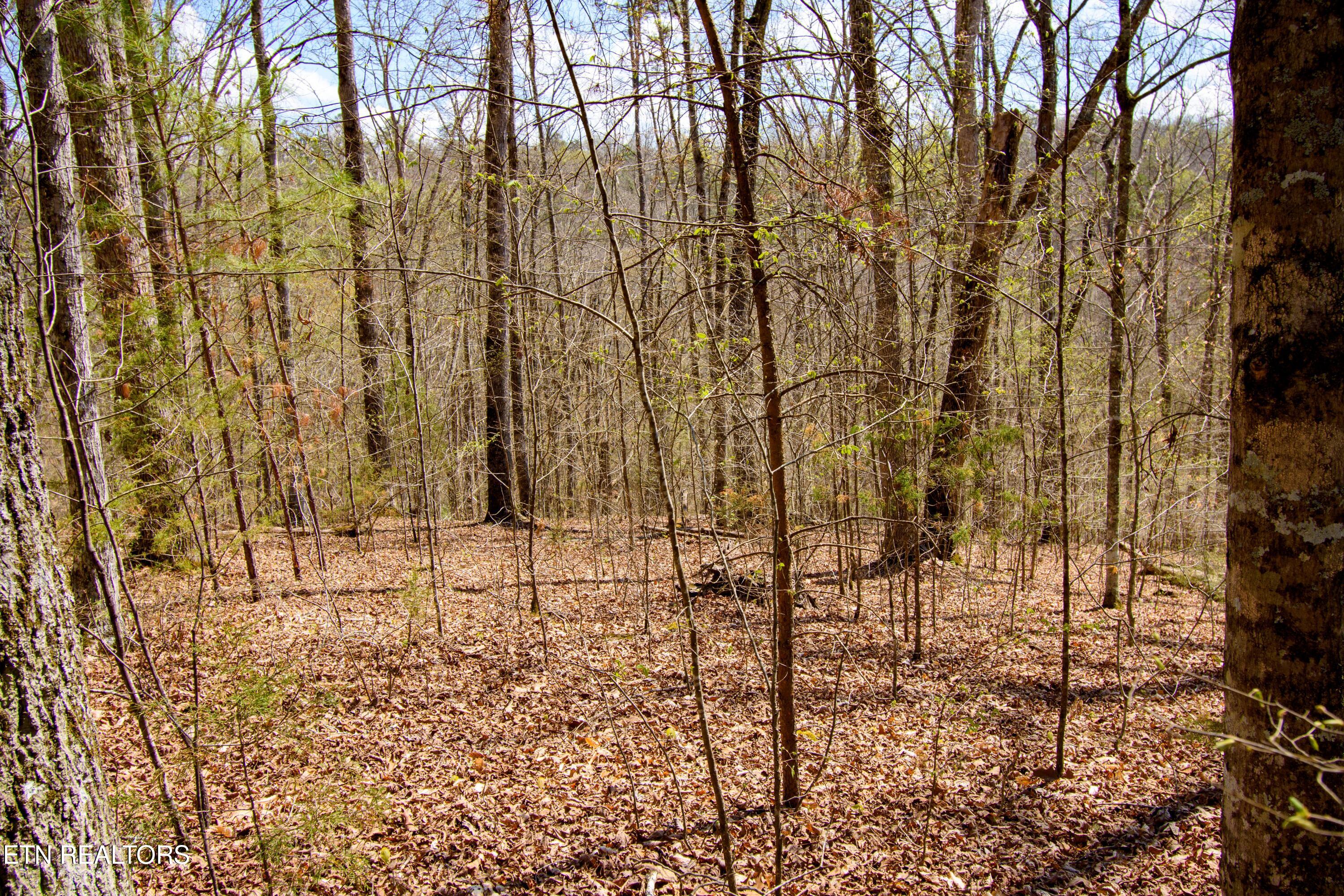 Turtle Dove Trail Dandridge TN 37725