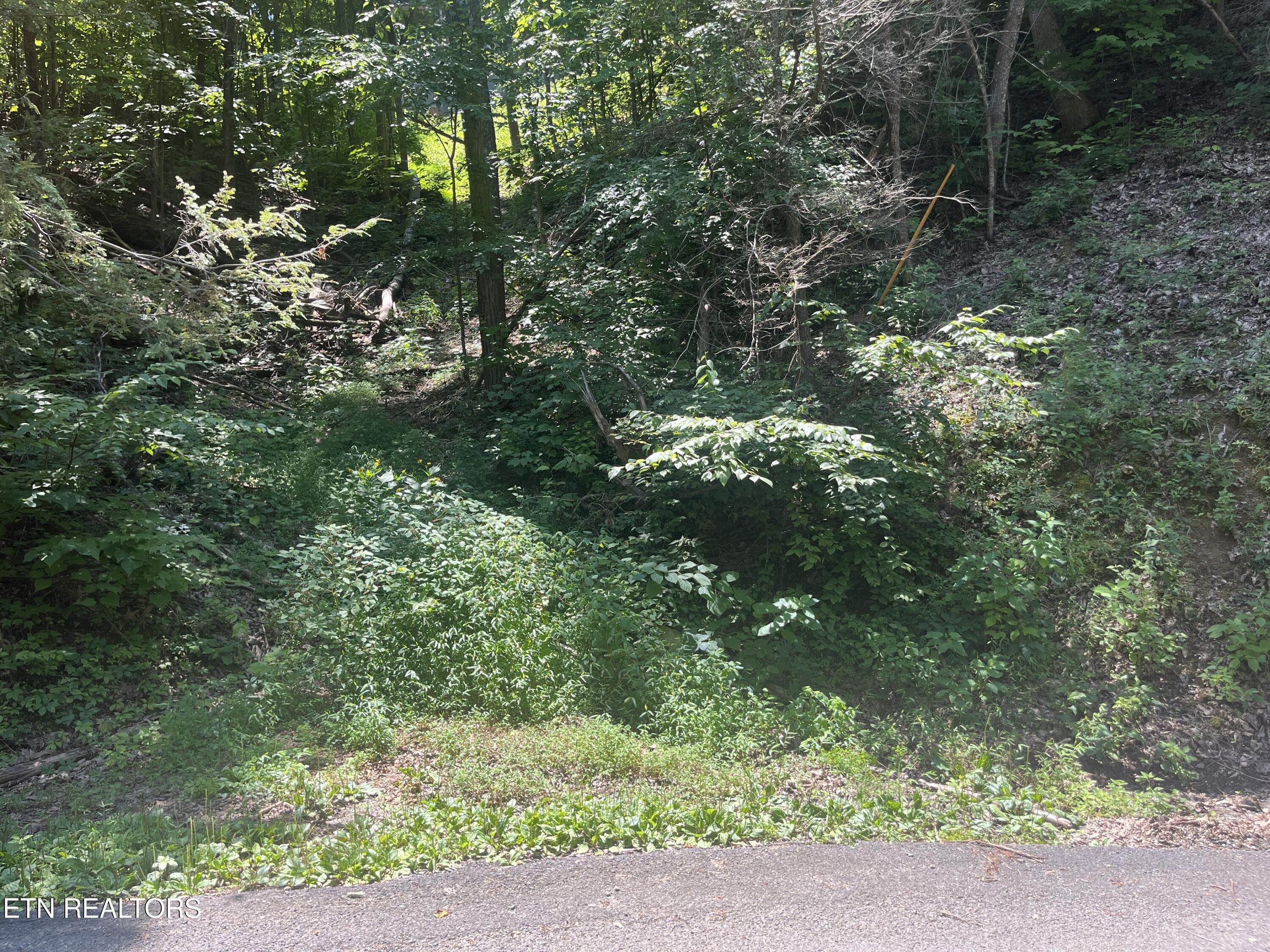 Lot 331 Ridgefield Drive Sevierville TN 37876