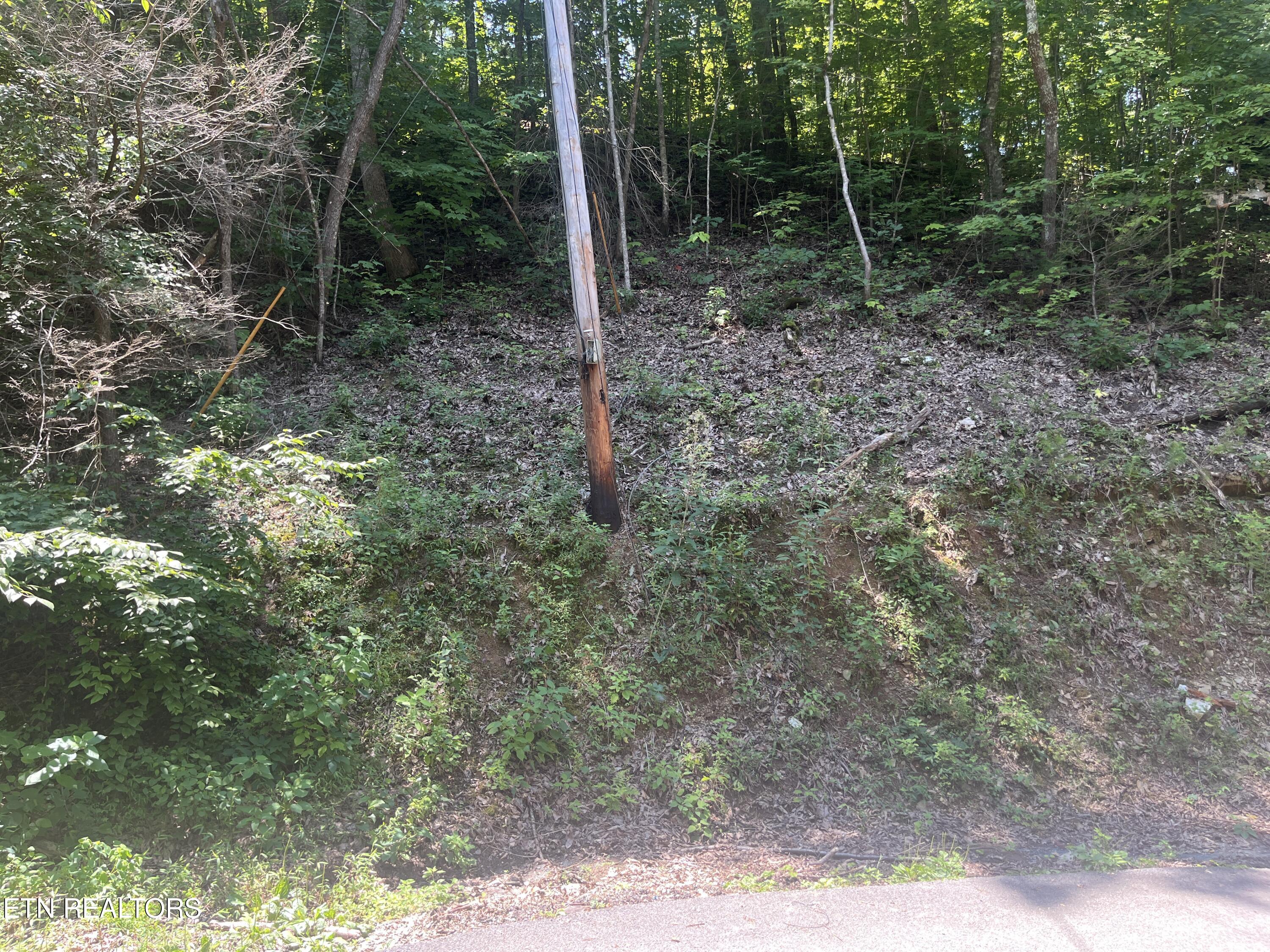 Lot 331 Ridgefield Drive Sevierville TN 37876