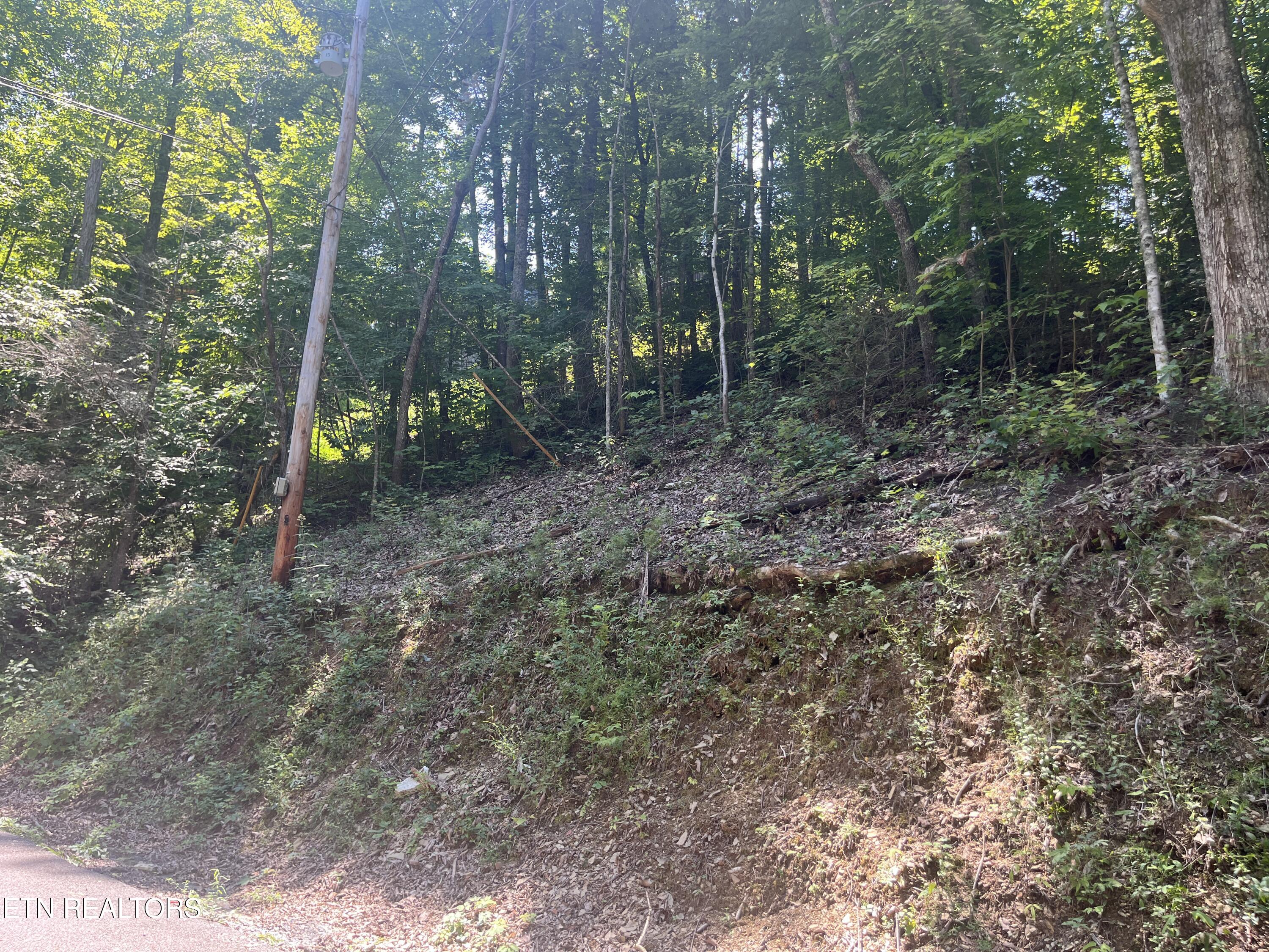 Lot 331 Ridgefield Drive Sevierville TN 37876