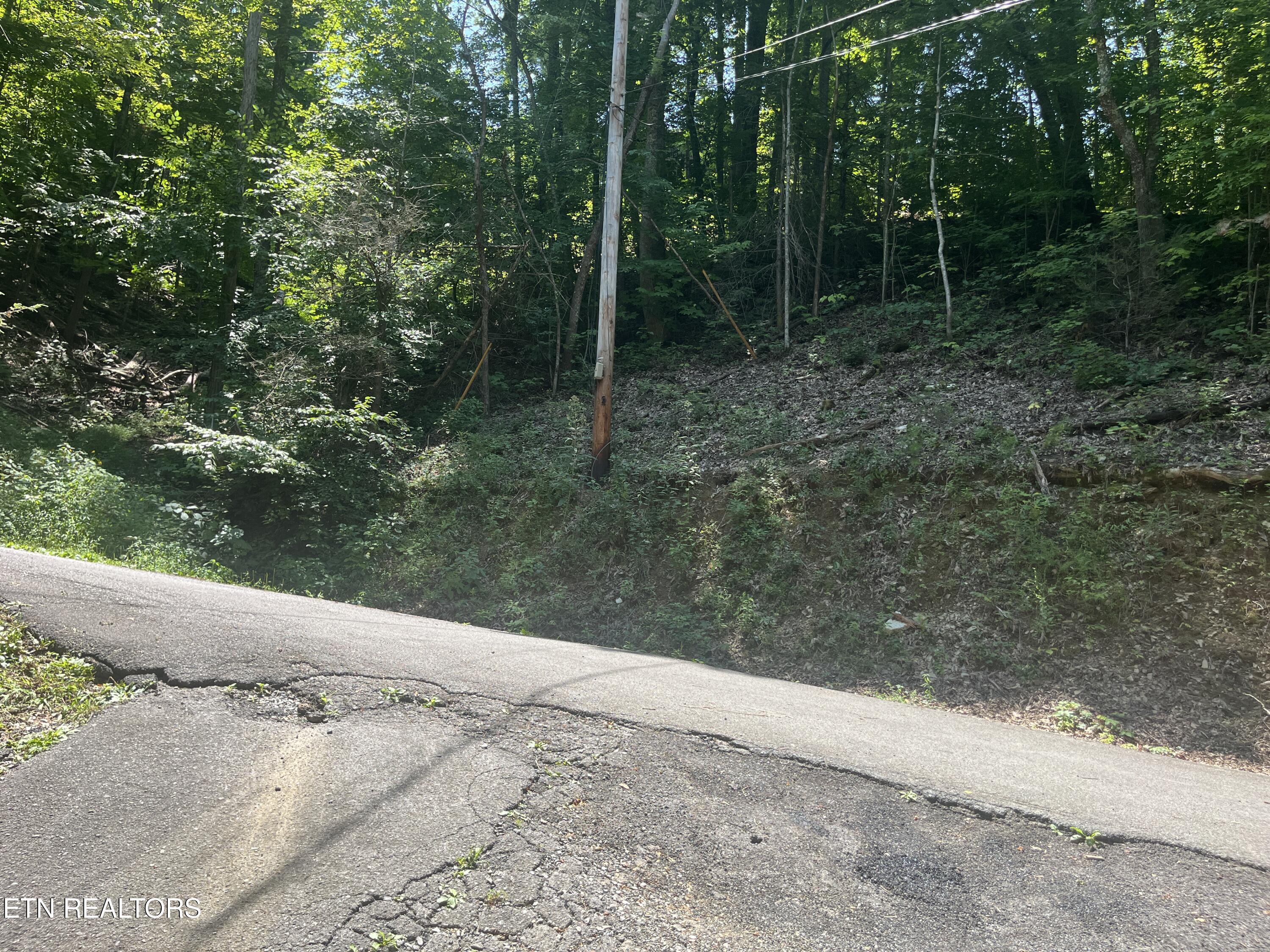Lot 331 Ridgefield Drive Sevierville TN 37876
