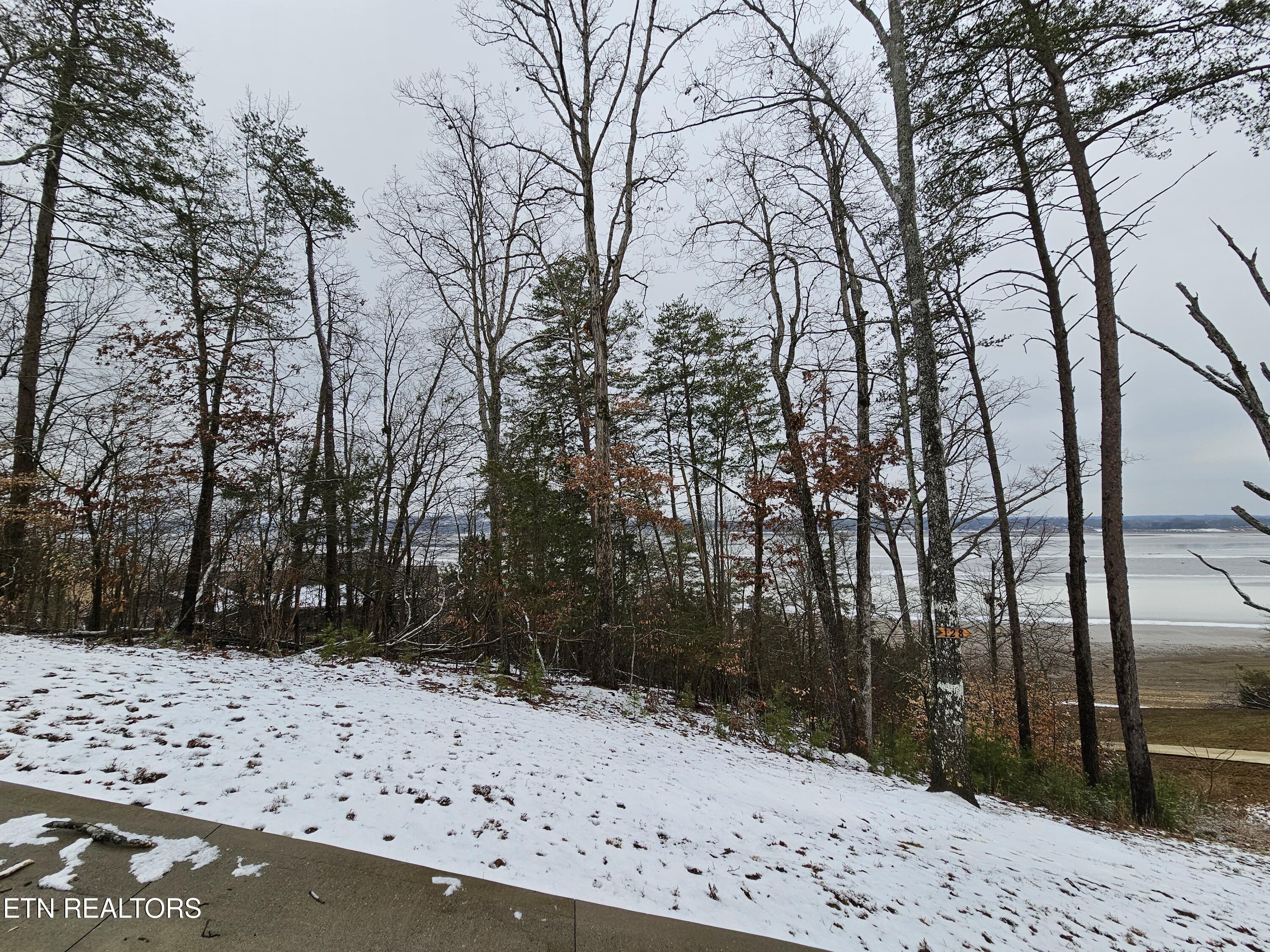 Kammann Cove Baneberry TN 37890