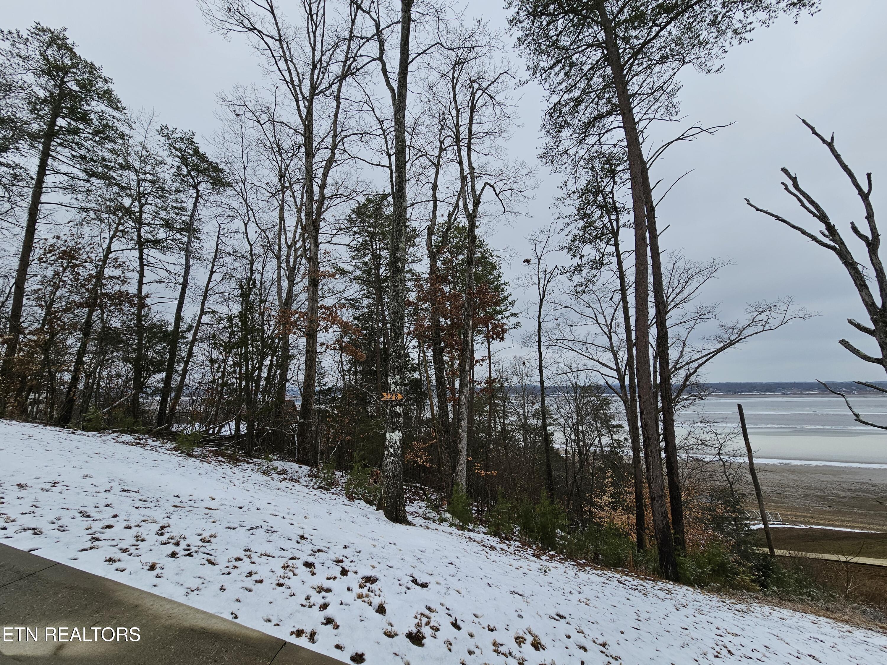 Kammann Cove Baneberry TN 37890