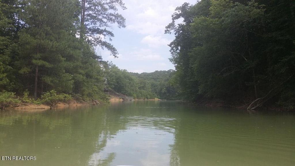 00 Last Chance Road Dandridge TN 37725