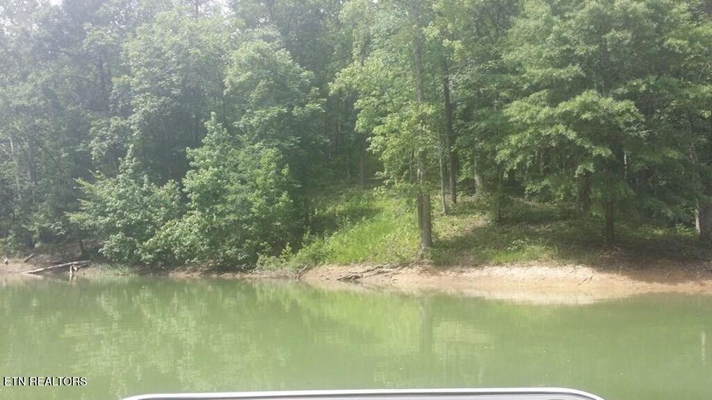 00 Last Chance Road Dandridge TN 37725