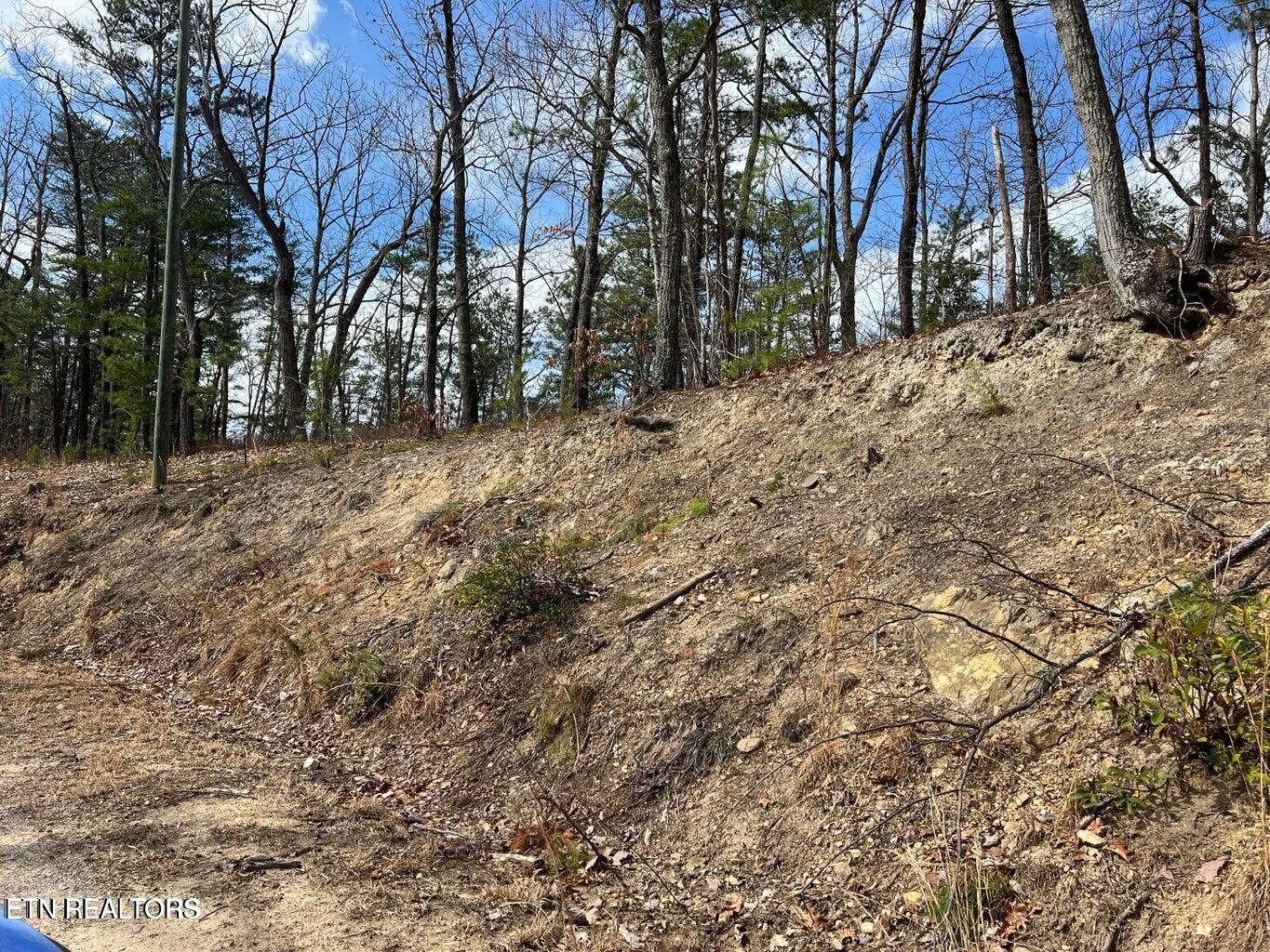 Chestnut Ridge Court Sevierville TN 37876