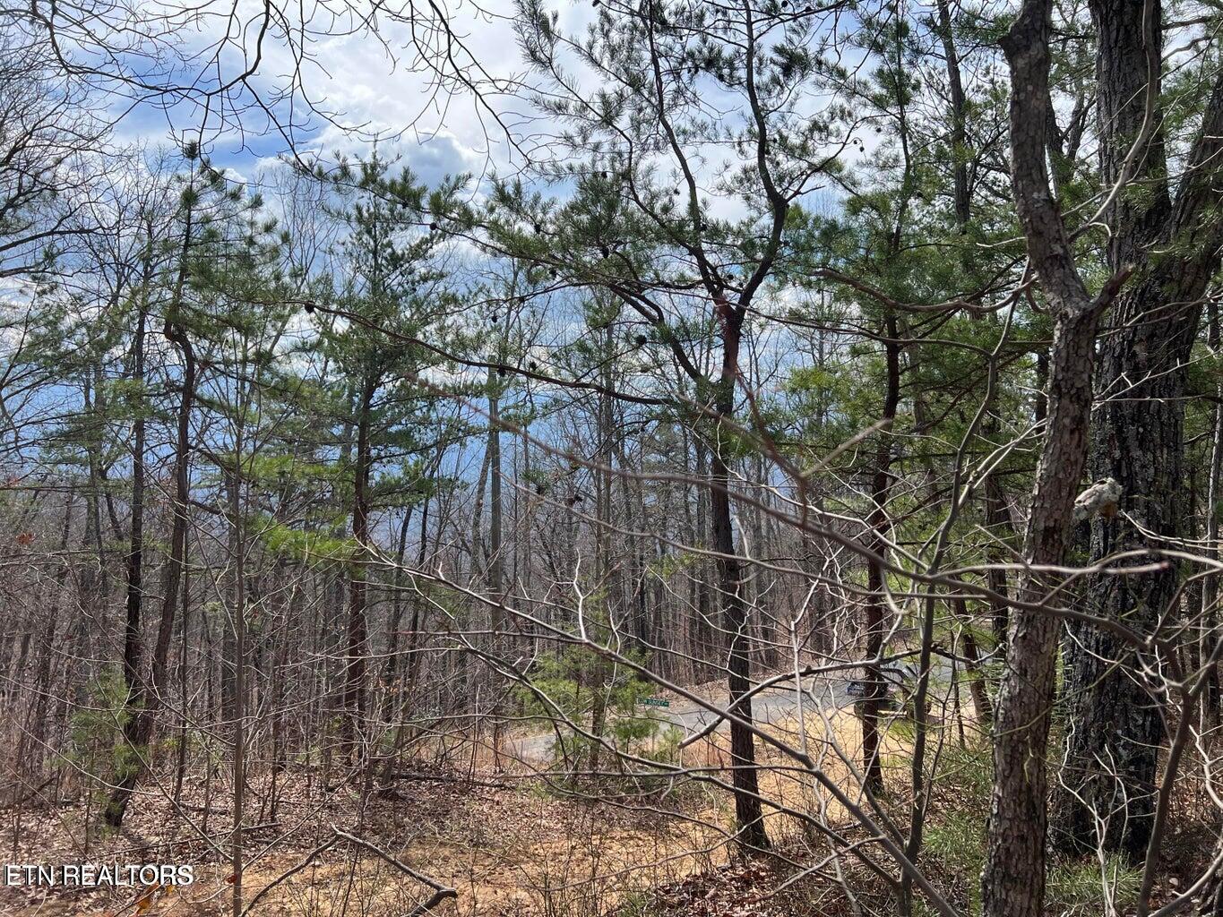 Chestnut Ridge Court Sevierville TN 37876