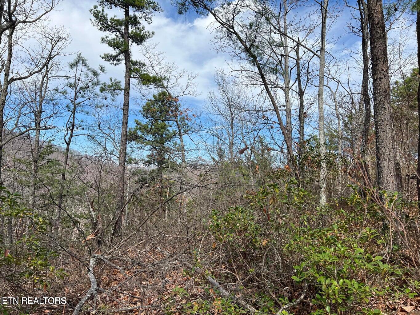 Chestnut Ridge Court Sevierville TN 37876