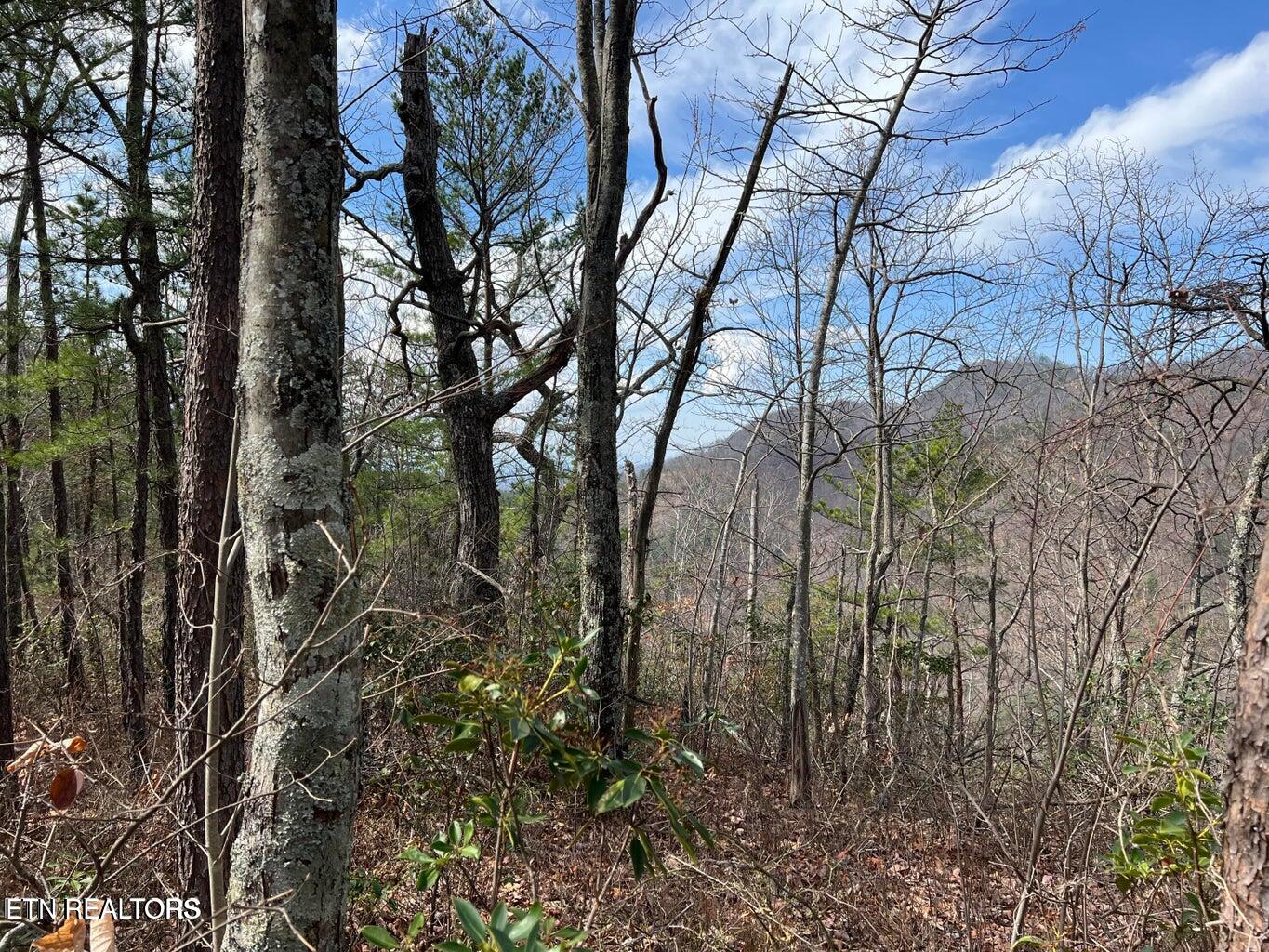 Chestnut Ridge Court Sevierville TN 37876