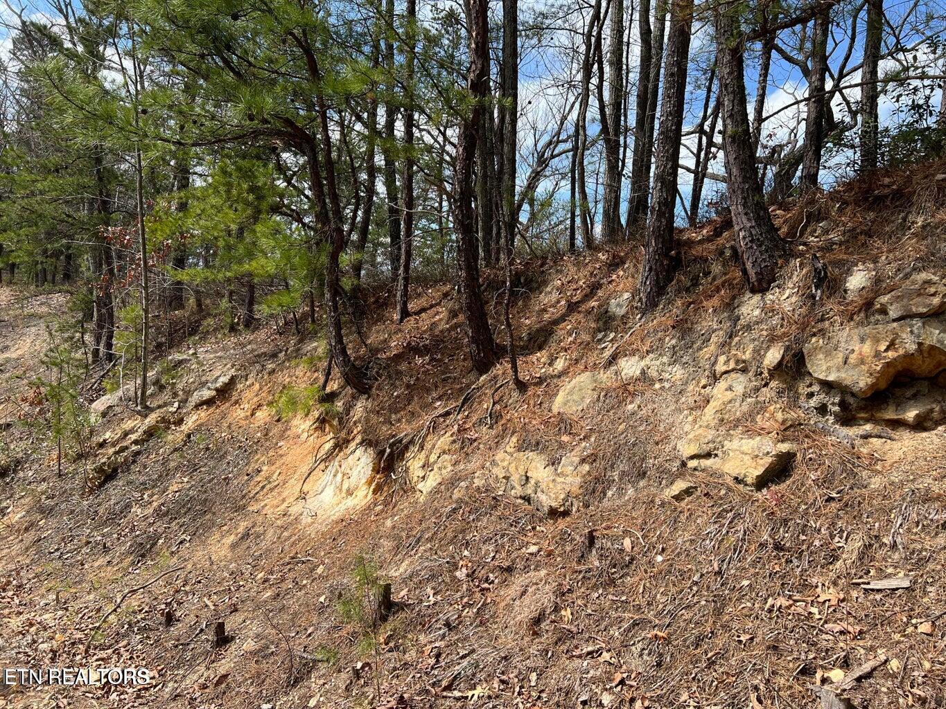 Chestnut Ridge Court Sevierville TN 37876