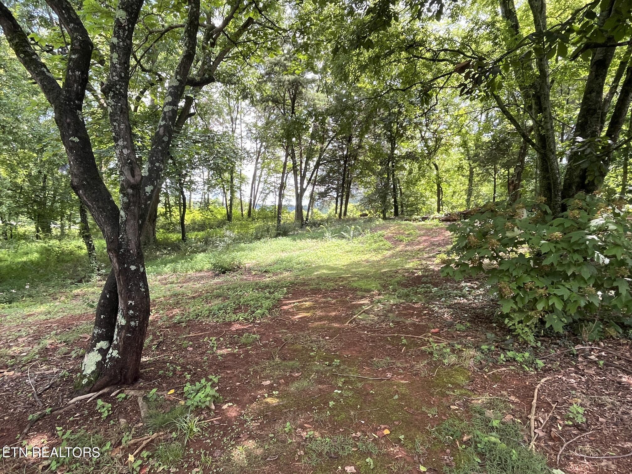 104 Brae Court Maryville TN 37801