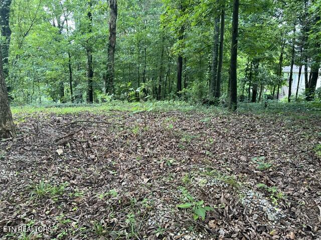104 Brae Court Maryville TN 37801