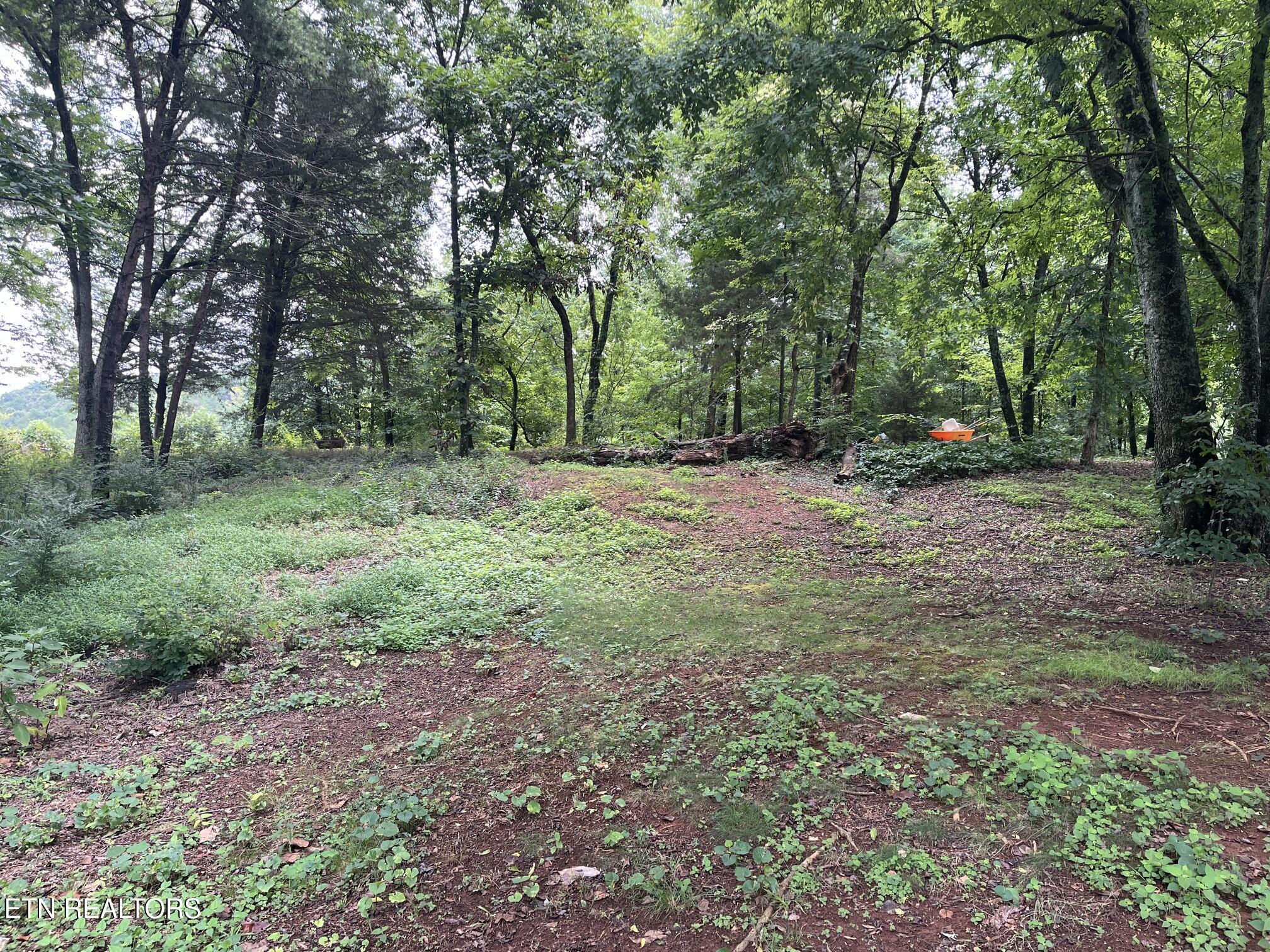 104 Brae Court Maryville TN 37801