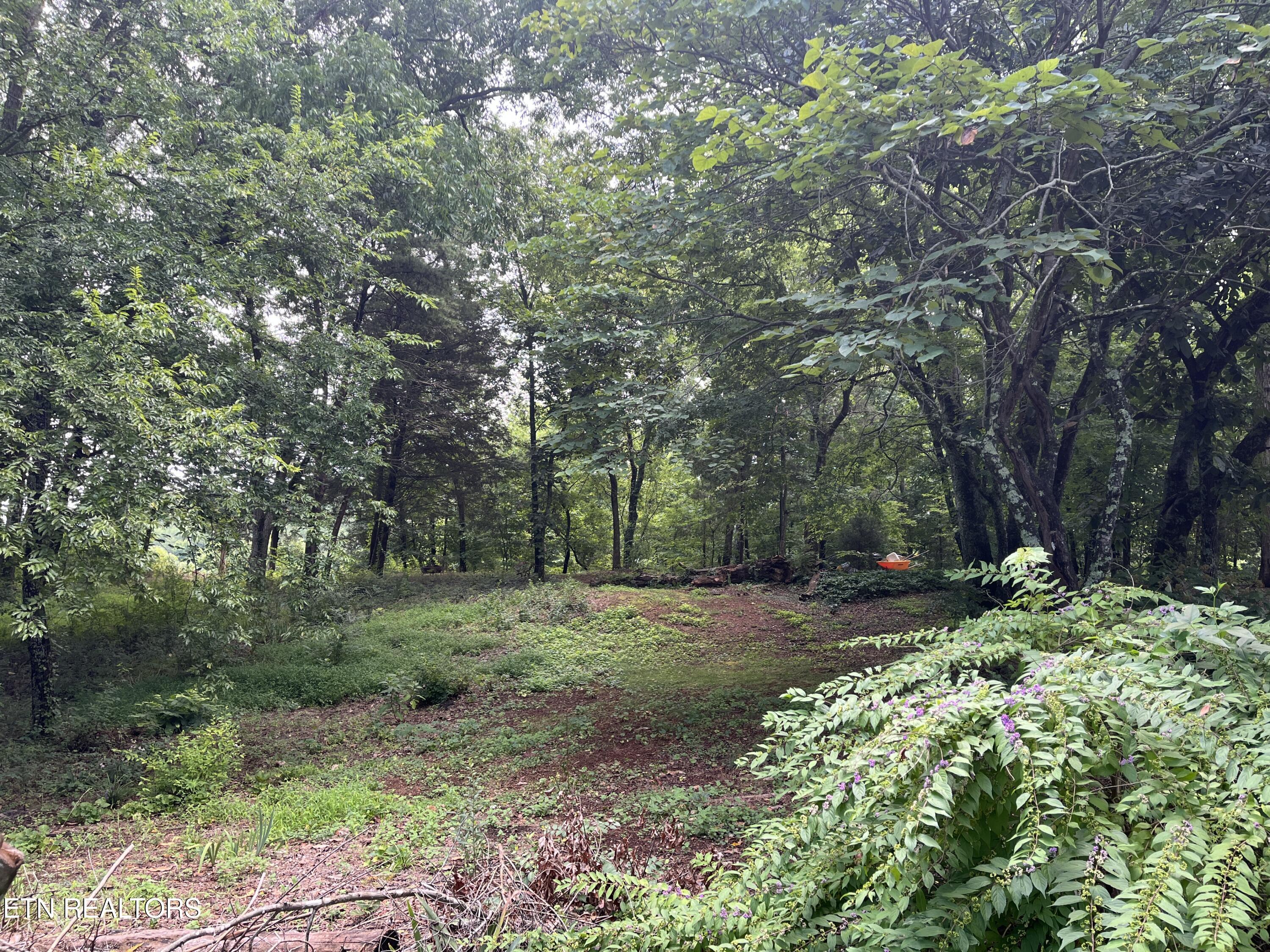 104 Brae Court Maryville TN 37801