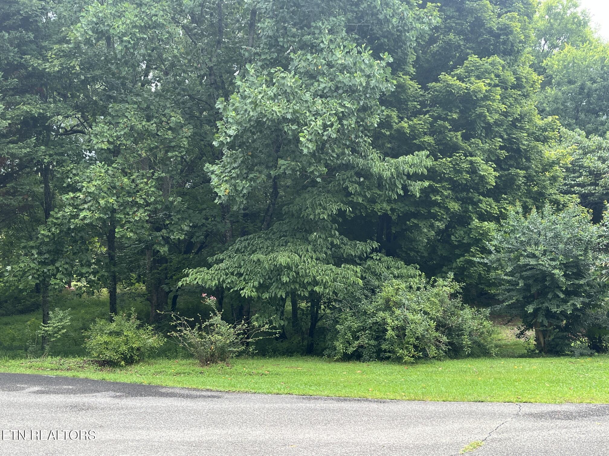 104 Brae Court Maryville TN 37801