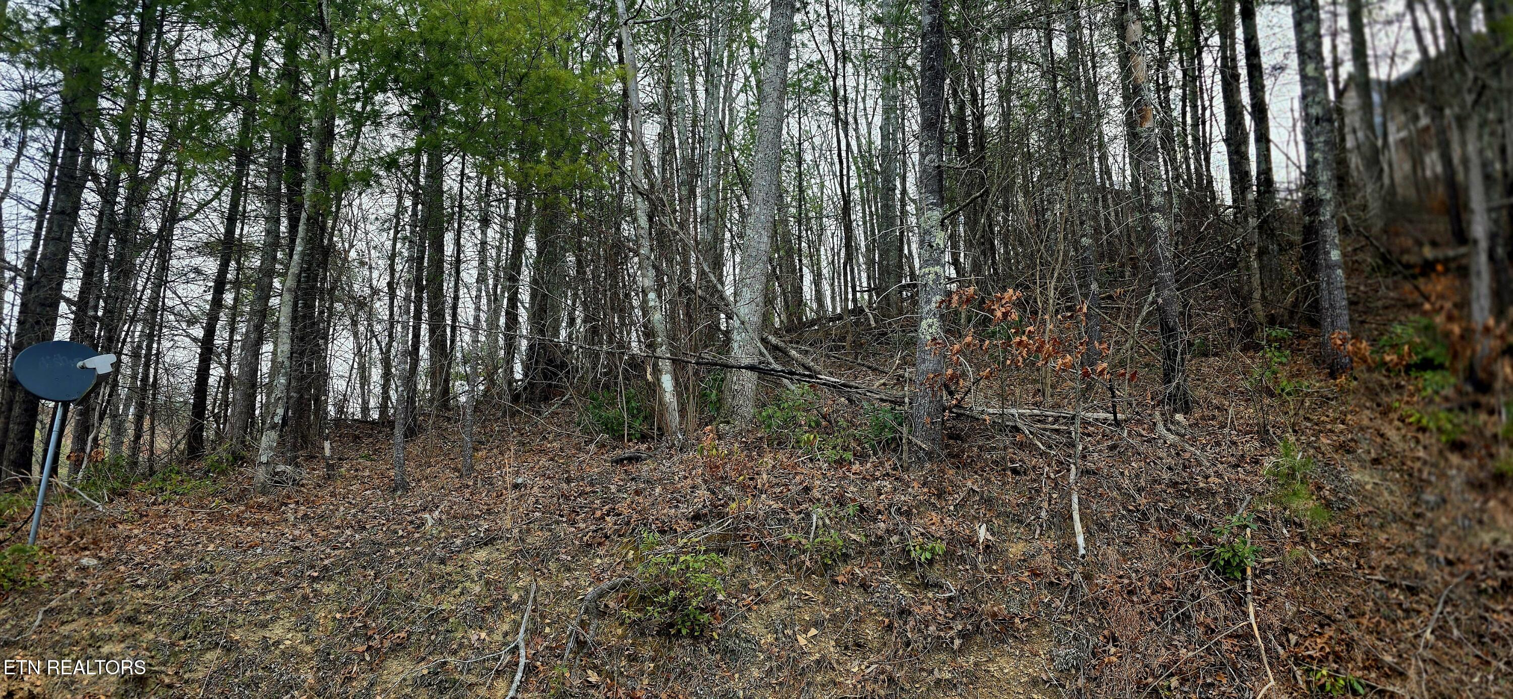 Sevierville TN 37862
