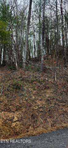 Sevierville TN 37862