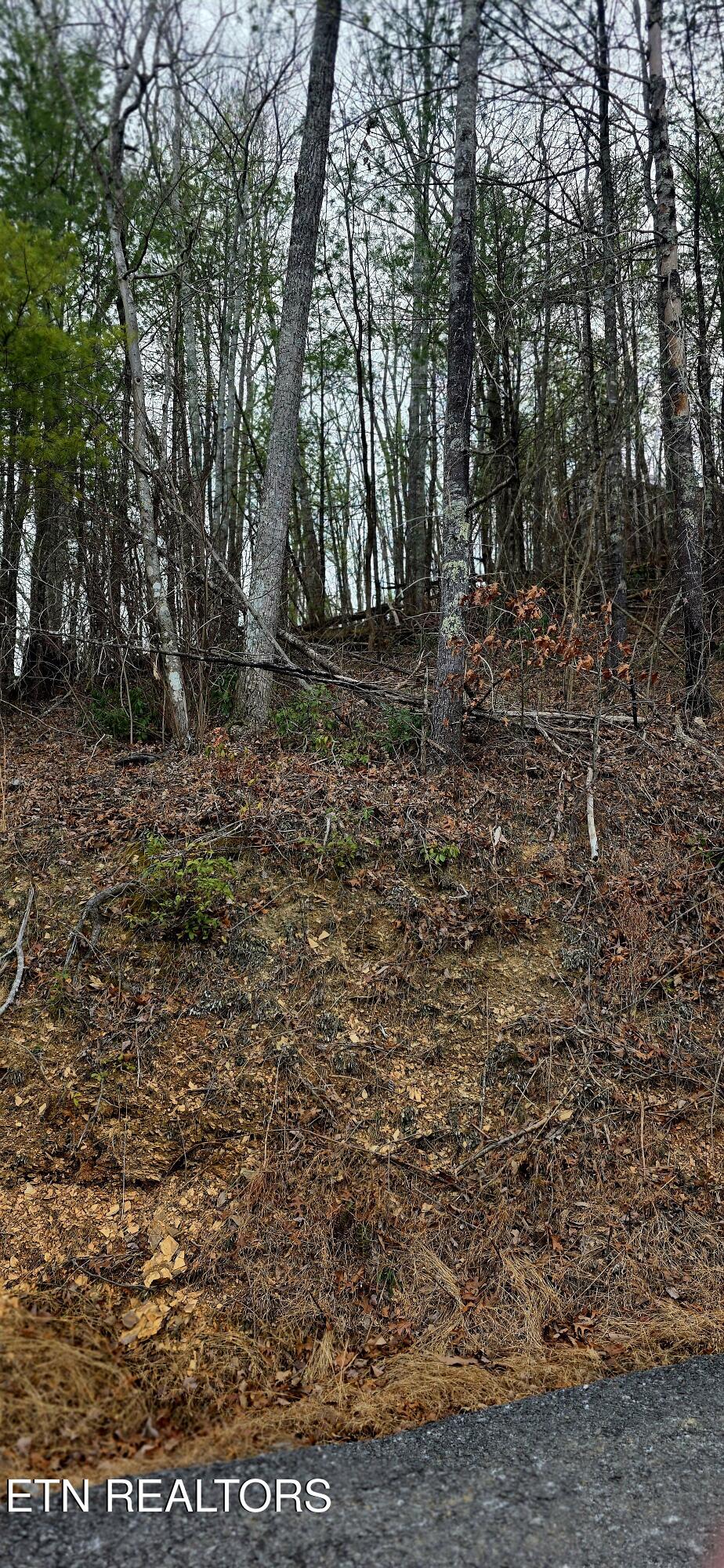 Sevierville TN 37862