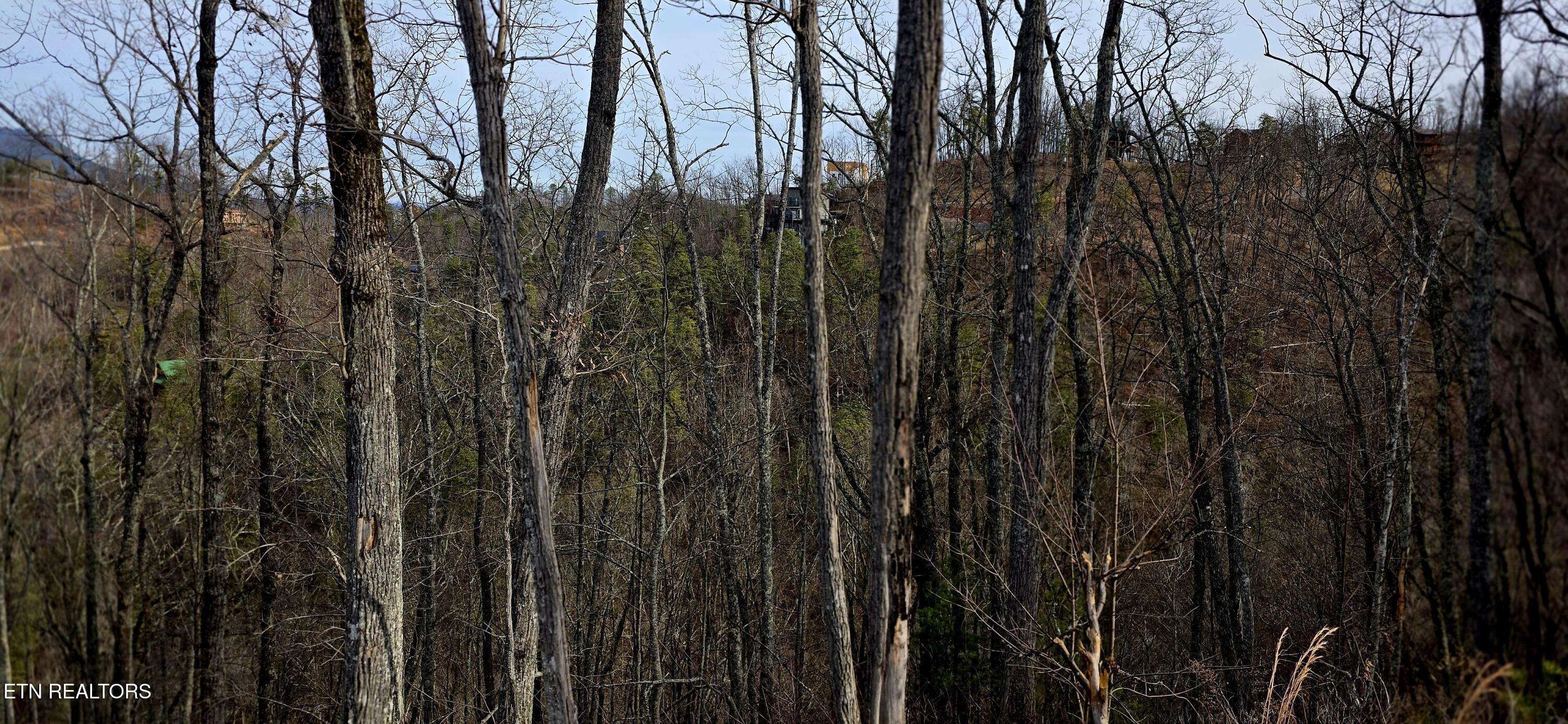 Sevierville TN 37862