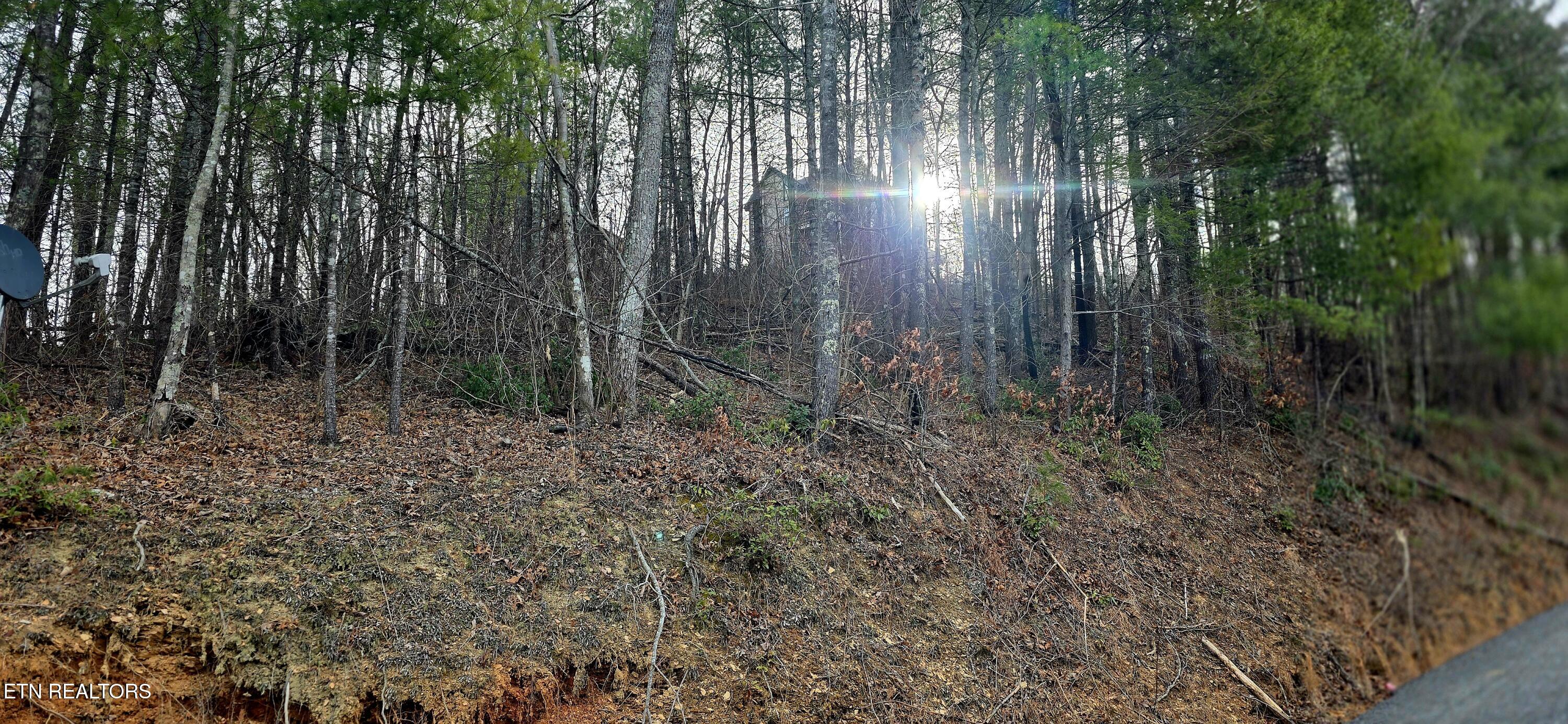 Sevierville TN 37862