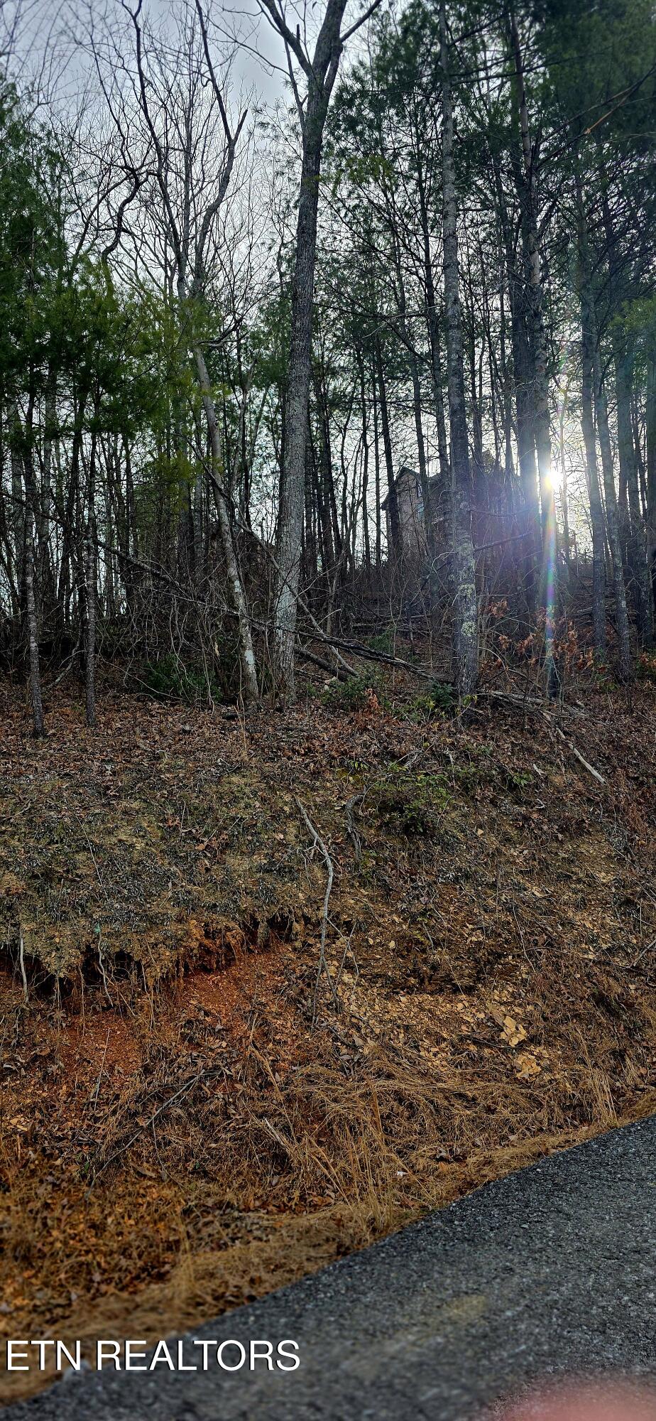 Sevierville TN 37862