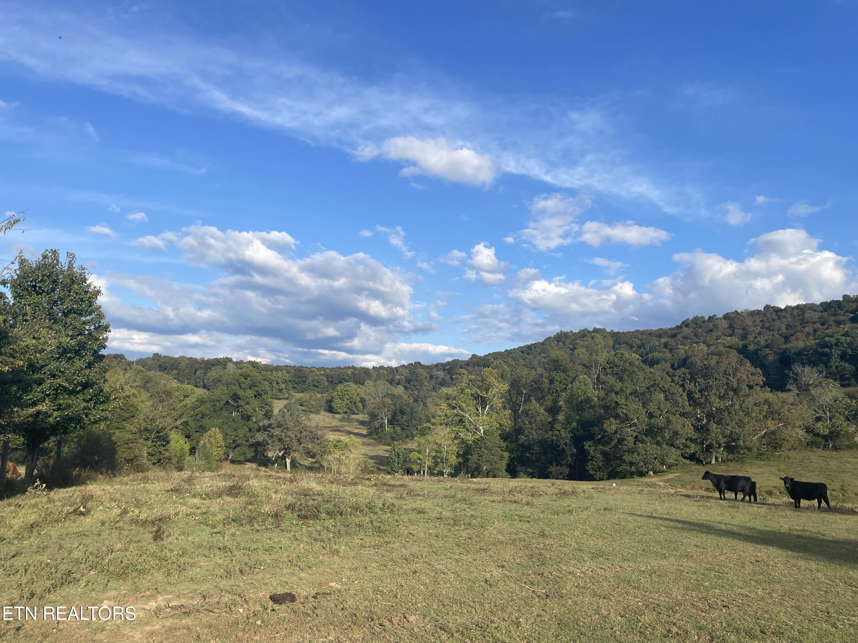 1380 Conrad Templeton Road Quebeck TN 38579