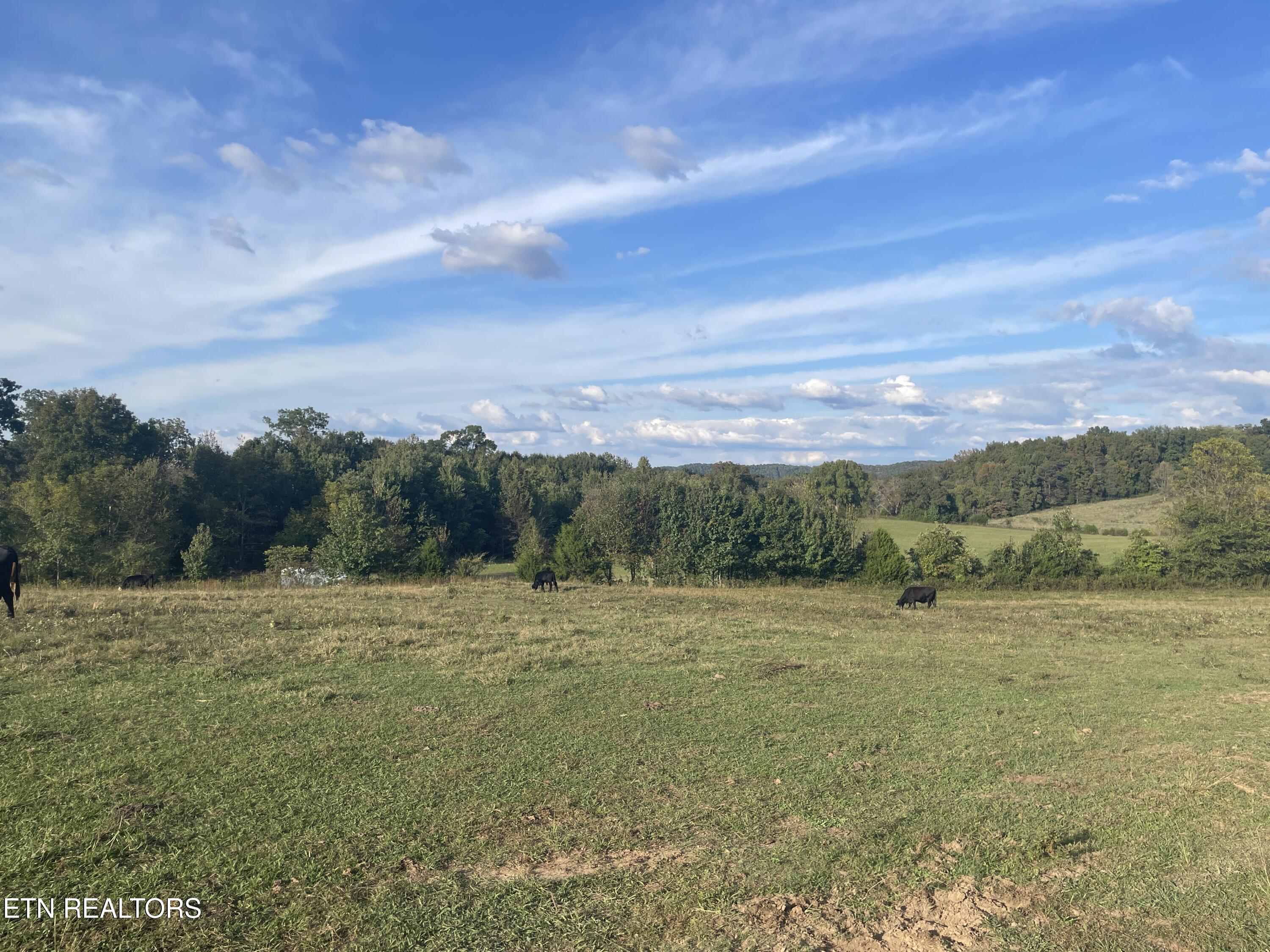 1380 Conrad Templeton Road Quebeck TN 38579