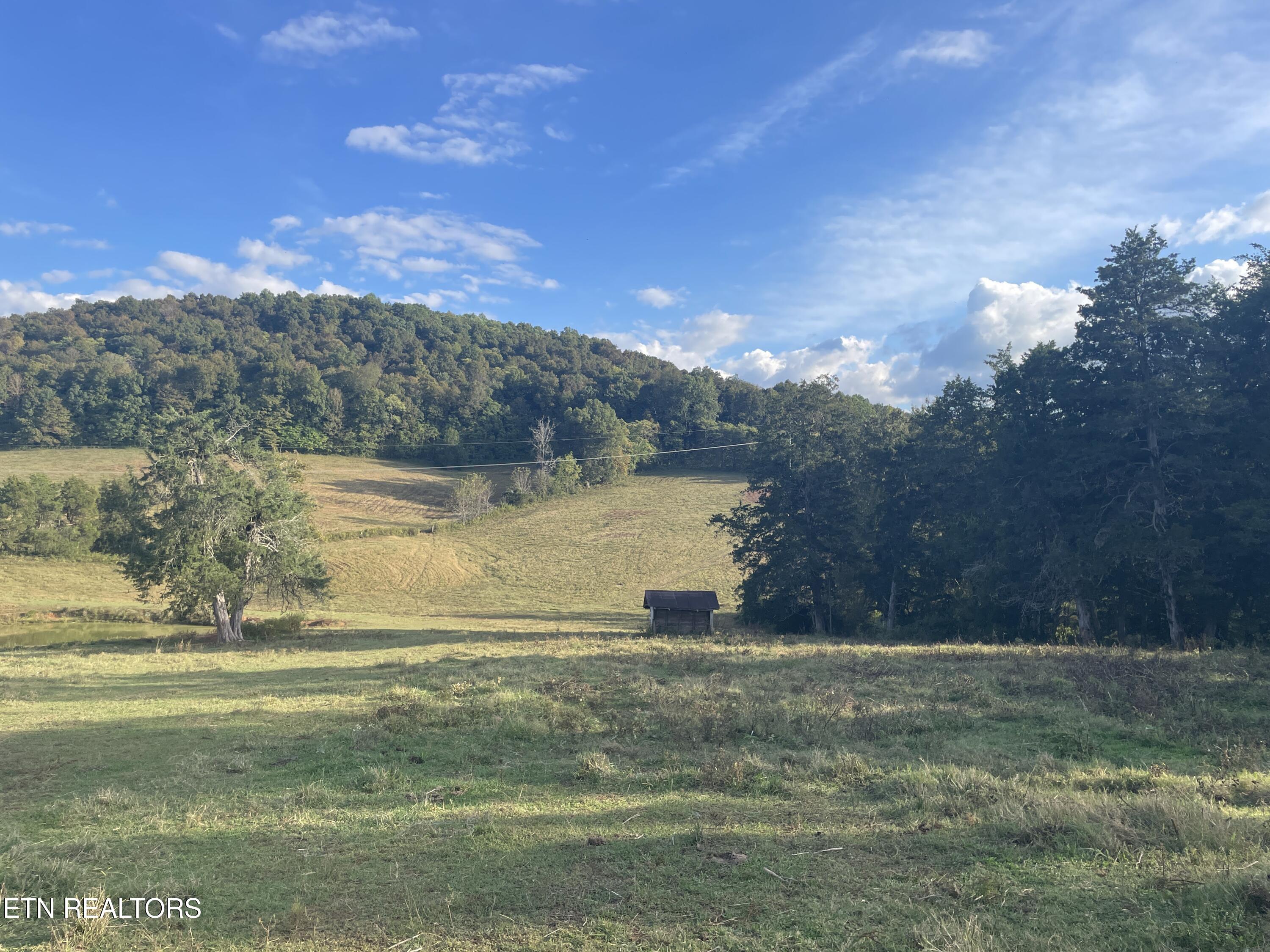 1380 Conrad Templeton Road Quebeck TN 38579