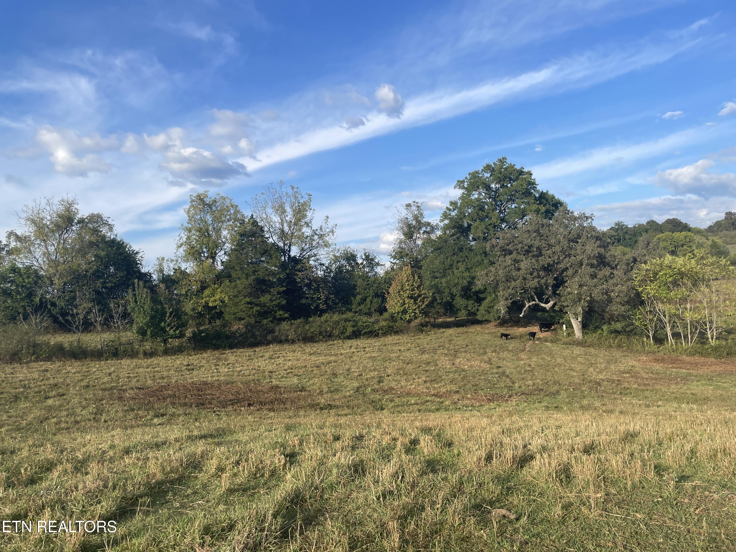 1380 Conrad Templeton Road Quebeck TN 38579
