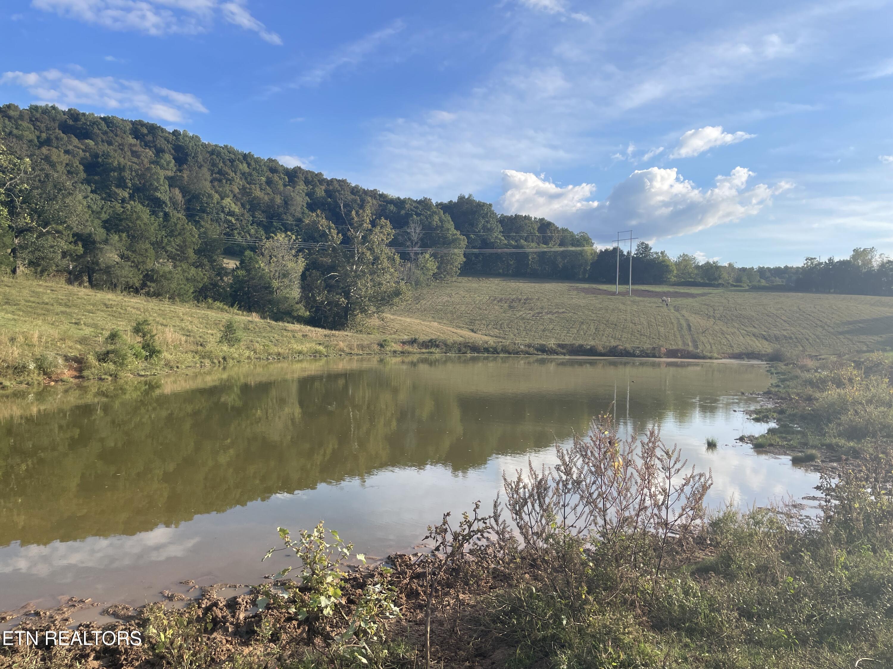 1380 Conrad Templeton Road Quebeck TN 38579