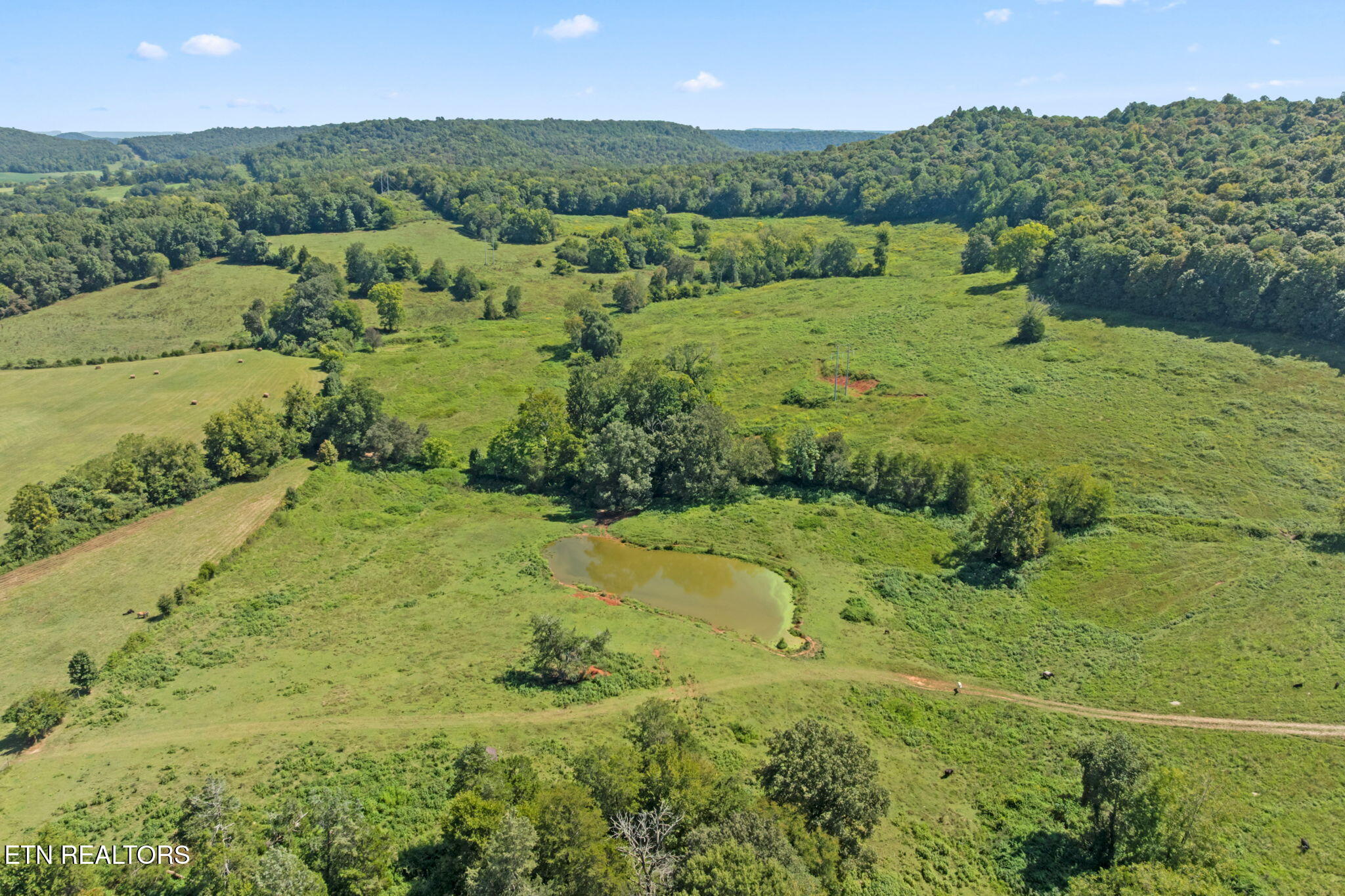 1380 Conrad Templeton Road Quebeck TN 38579