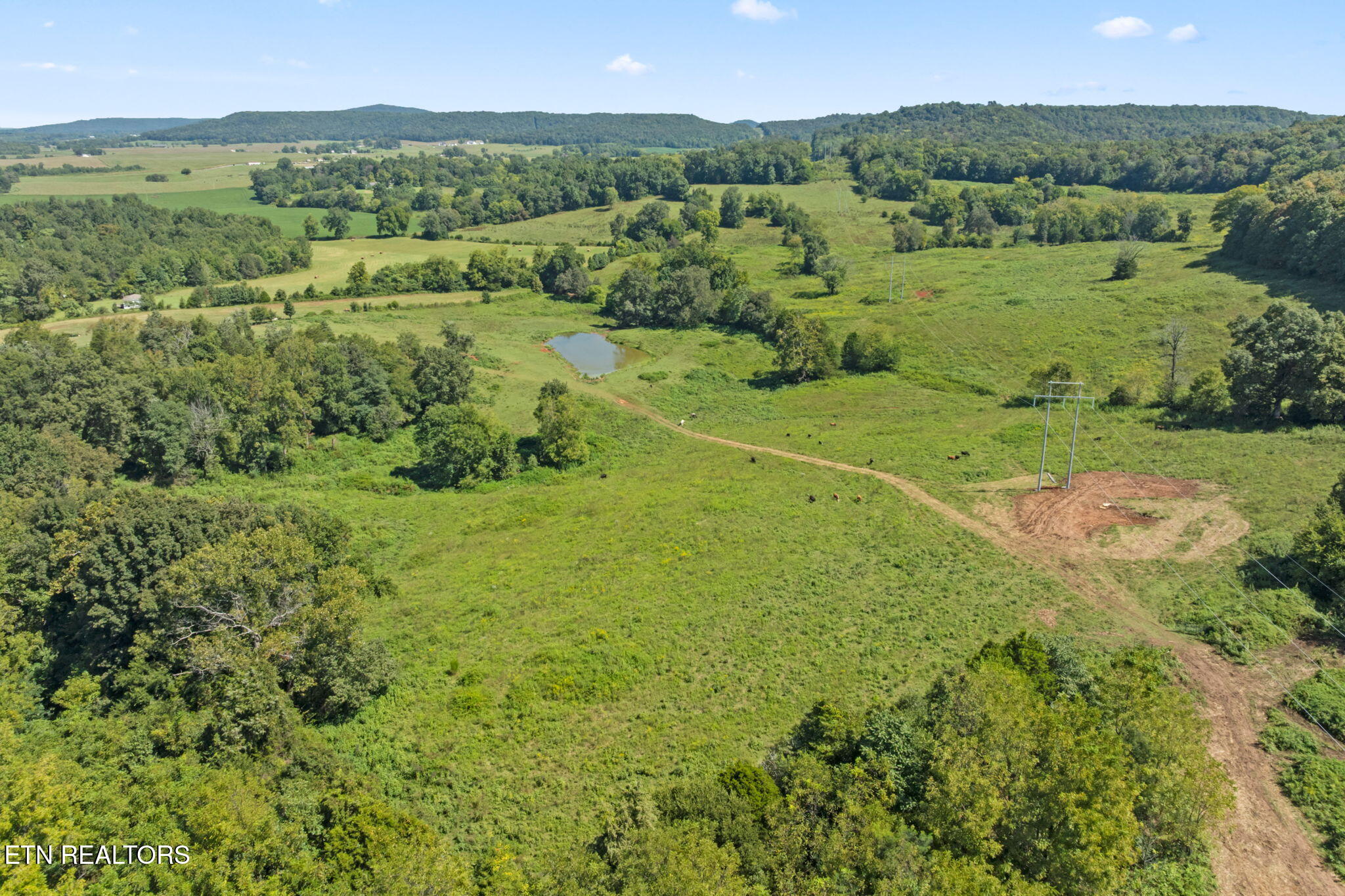 1380 Conrad Templeton Road Quebeck TN 38579