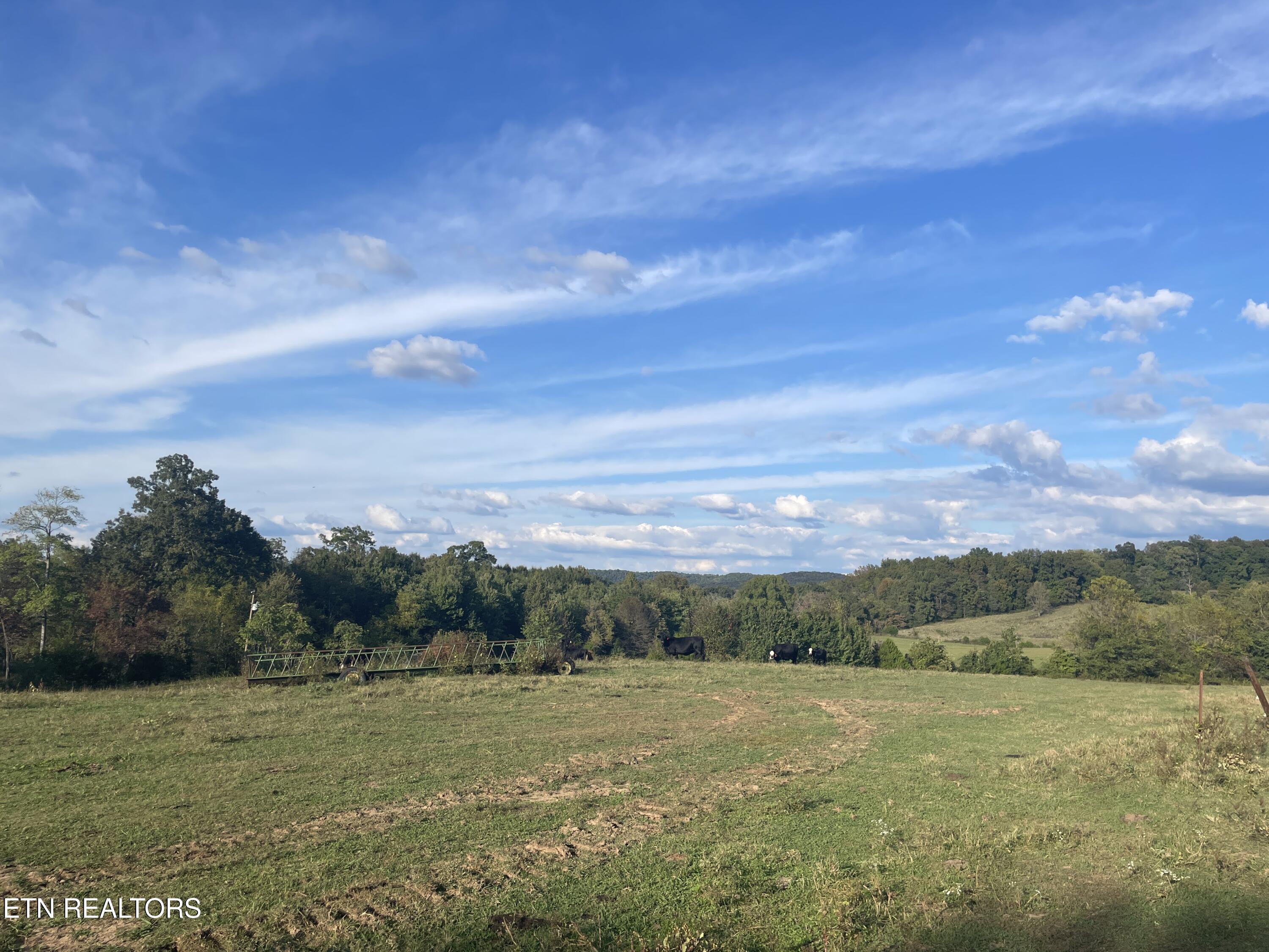 1380 Conrad Templeton Road Quebeck TN 38579