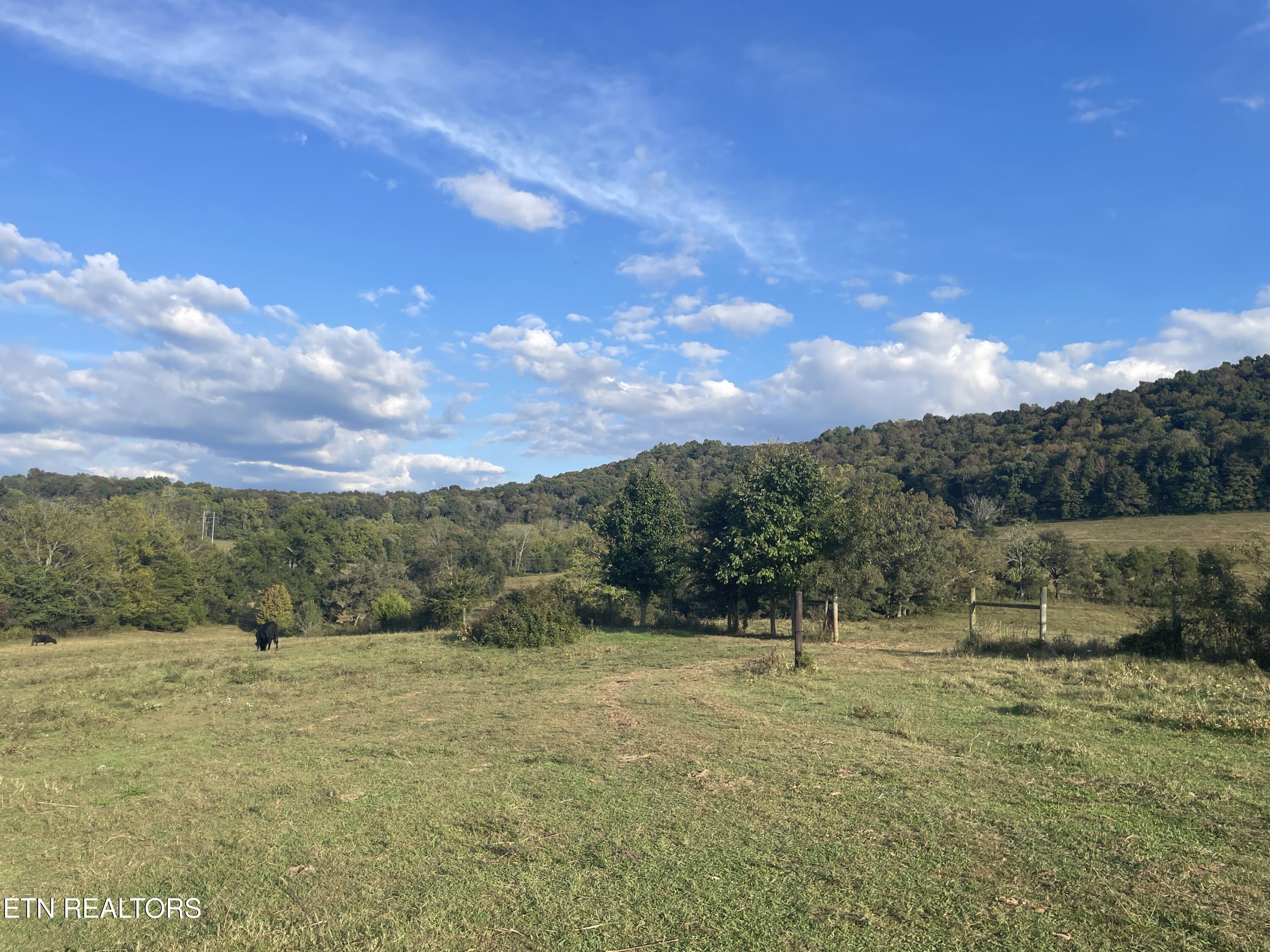 1380 Conrad Templeton Road Quebeck TN 38579