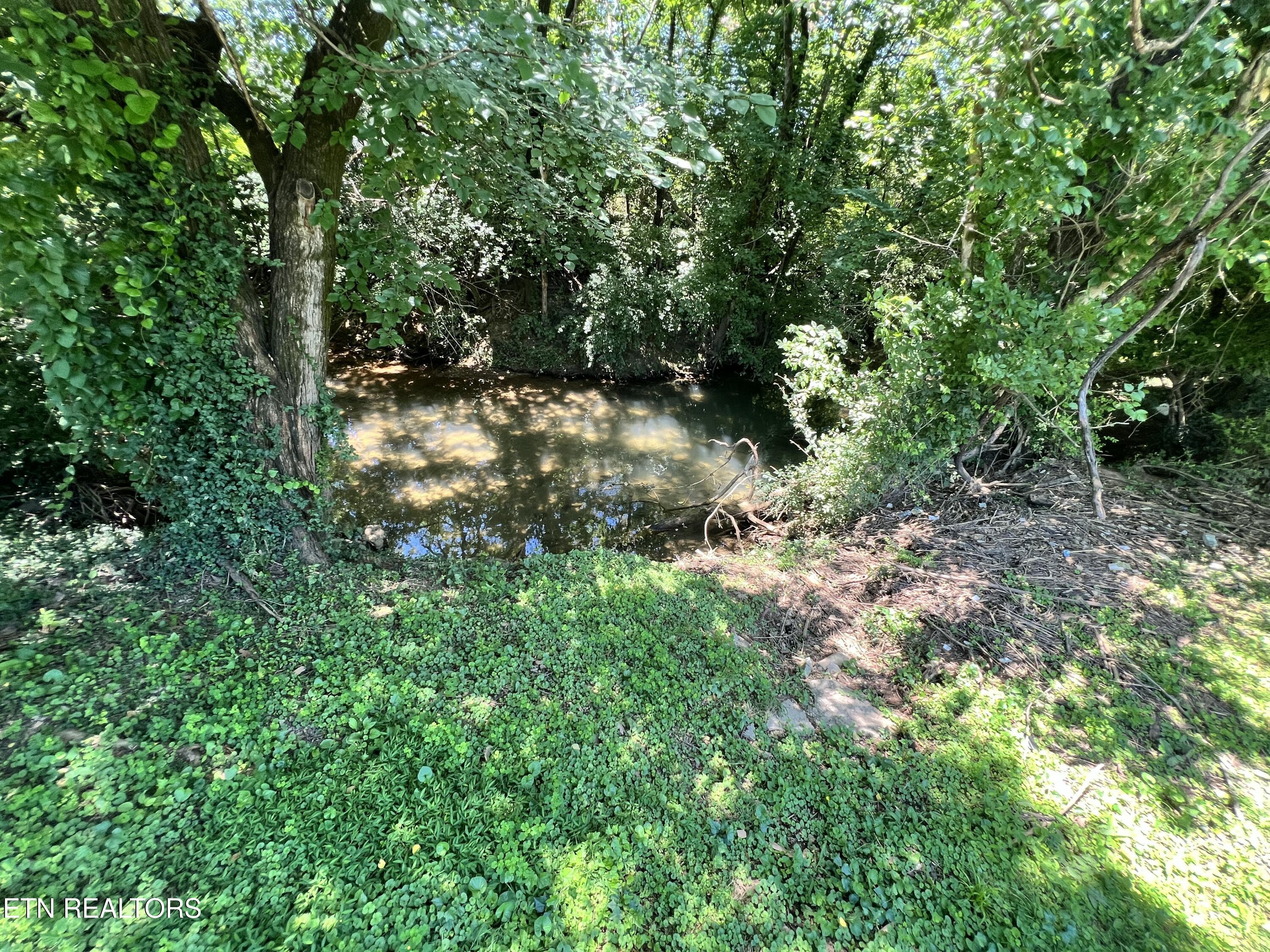 3812 Reagan Avenue Knoxville TN 37919