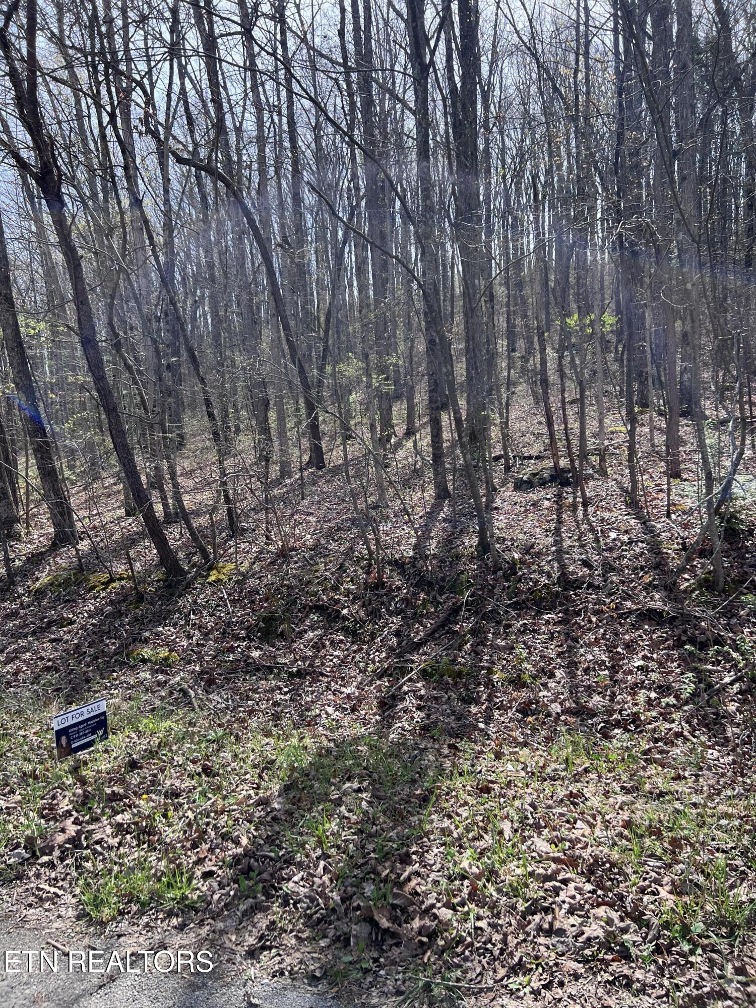 0.17 Ac Hickory Hollow Road Crossville TN 38572