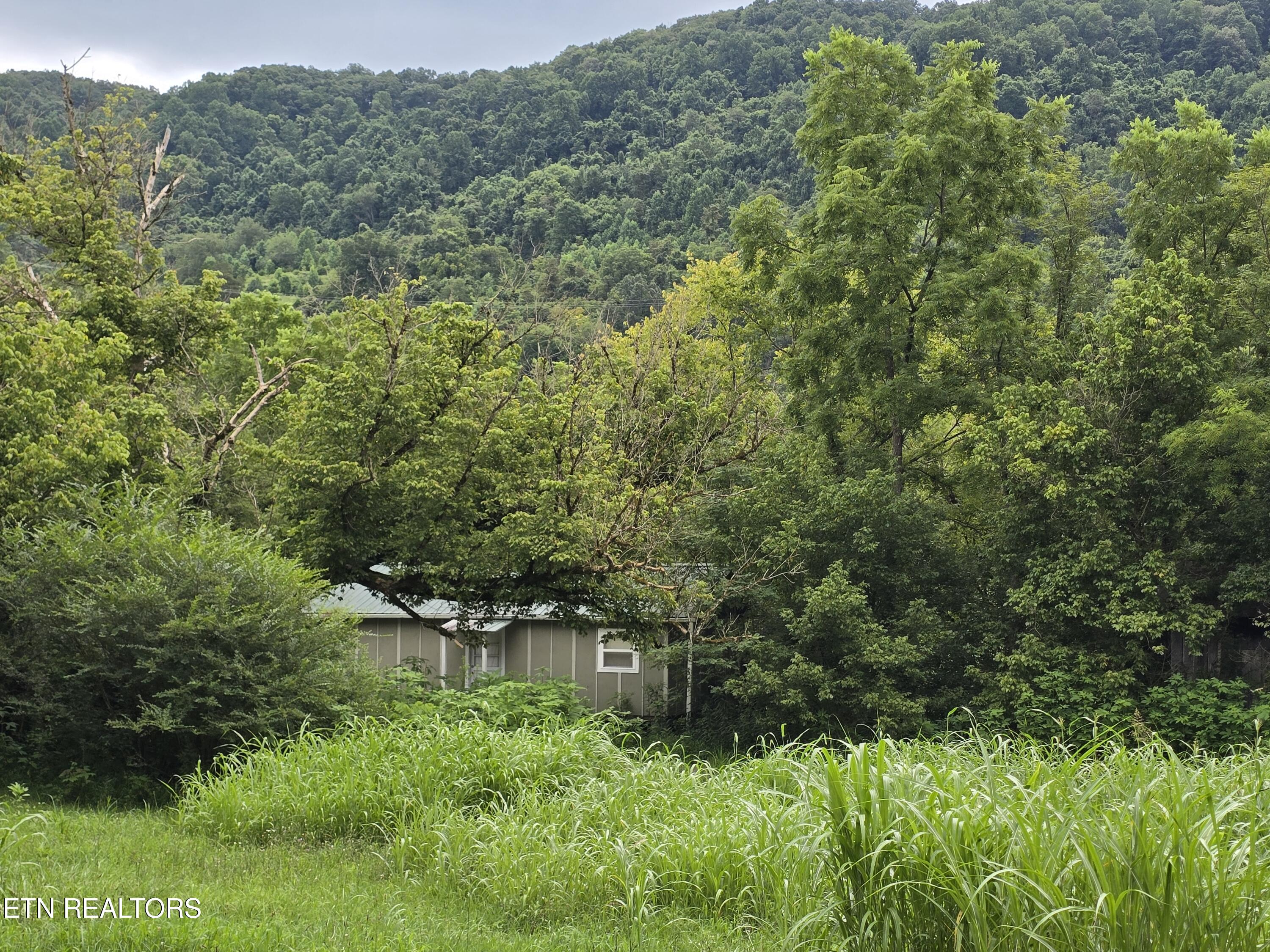 6835 Mulberry Gap Road Sneedville TN 37869