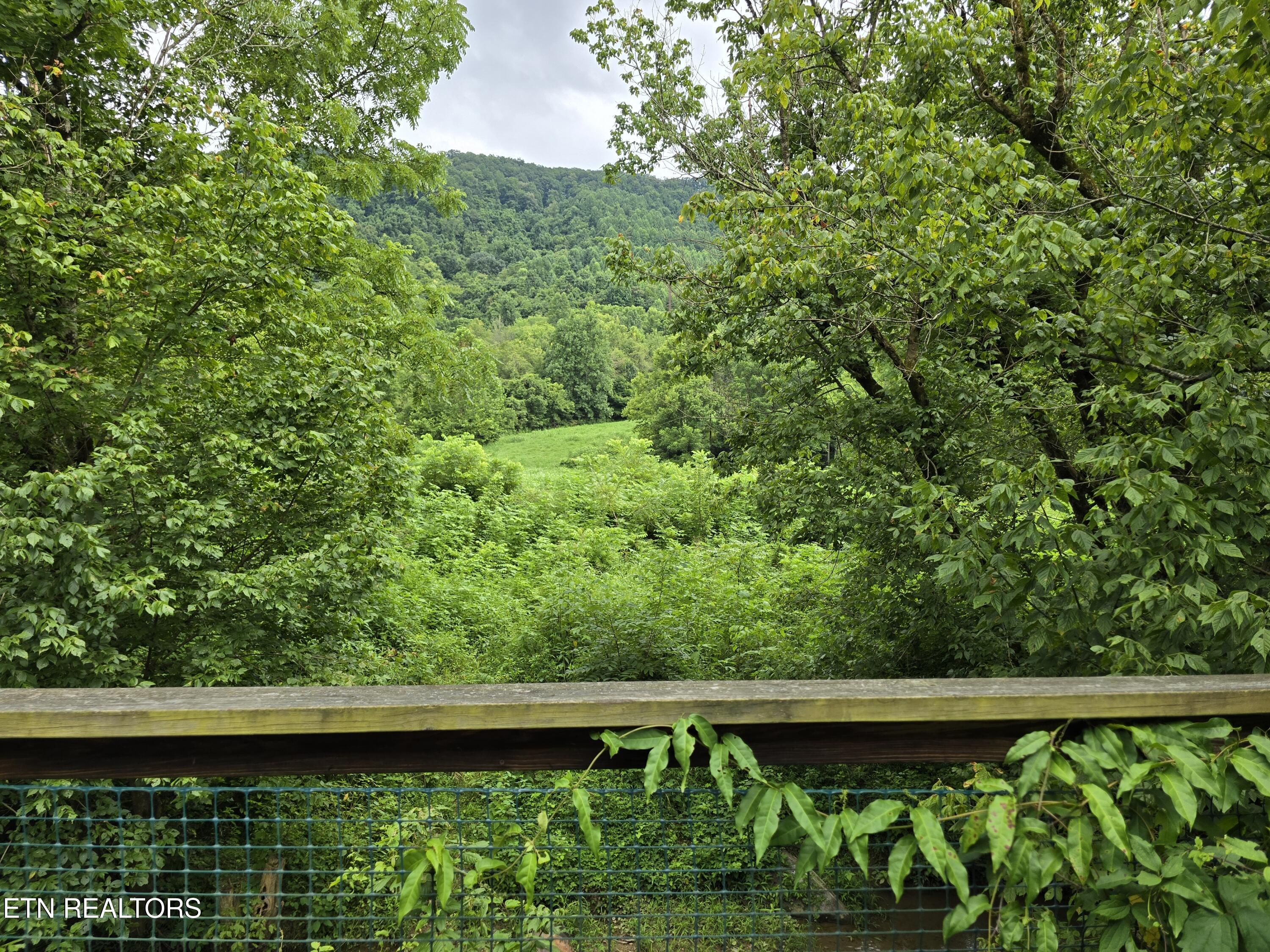6835 Mulberry Gap Road Sneedville TN 37869