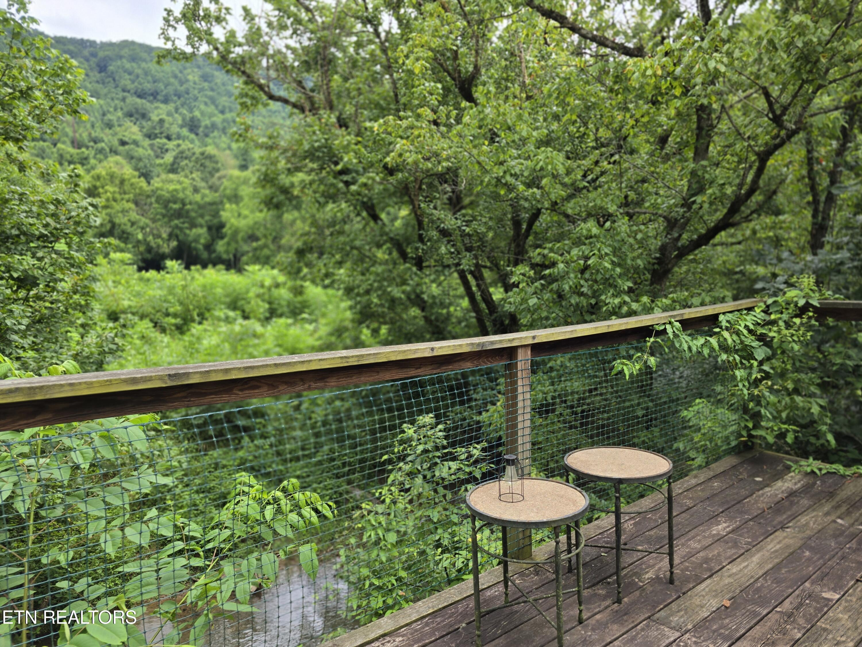 6835 Mulberry Gap Road Sneedville TN 37869