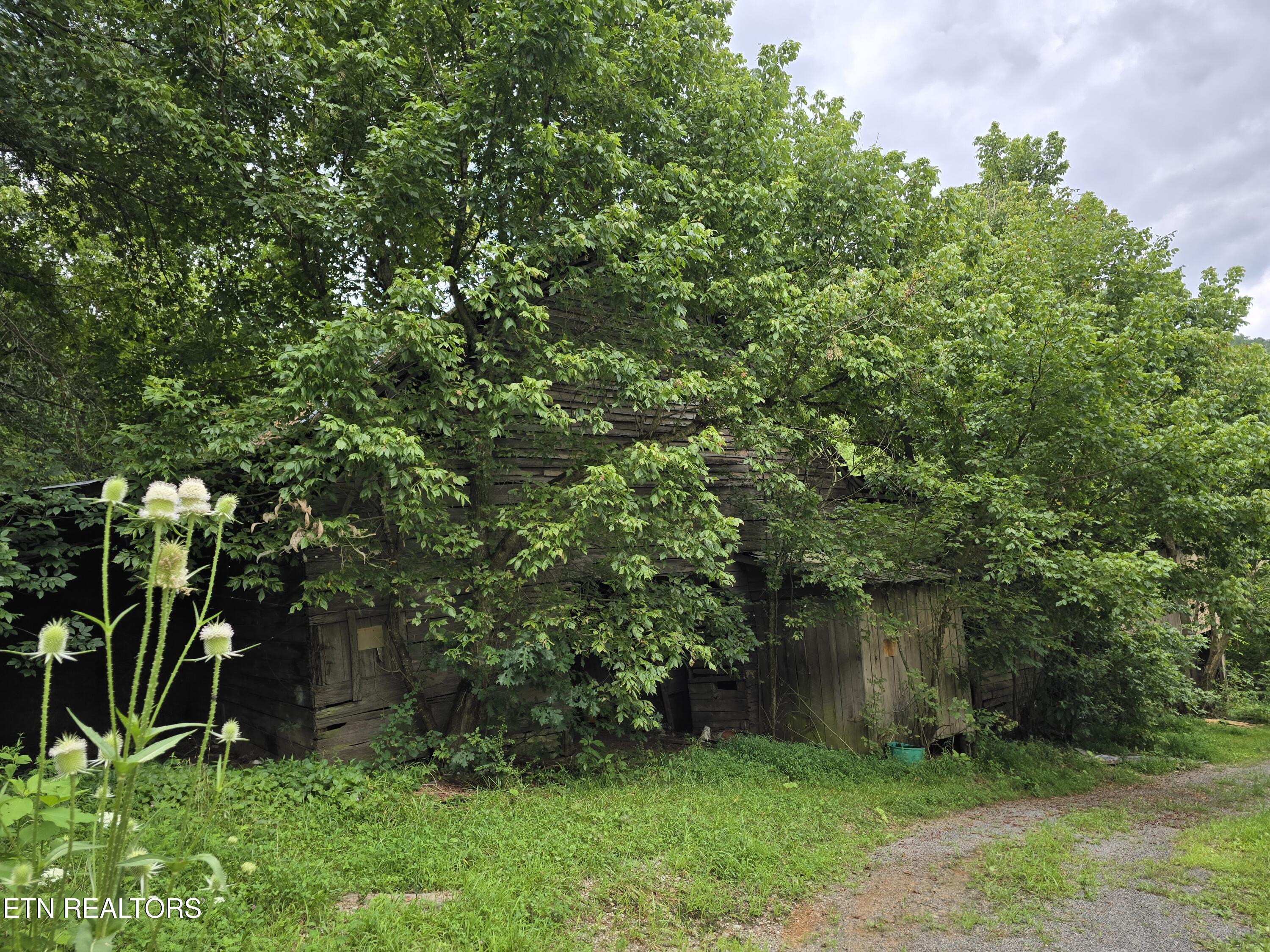 6835 Mulberry Gap Road Sneedville TN 37869