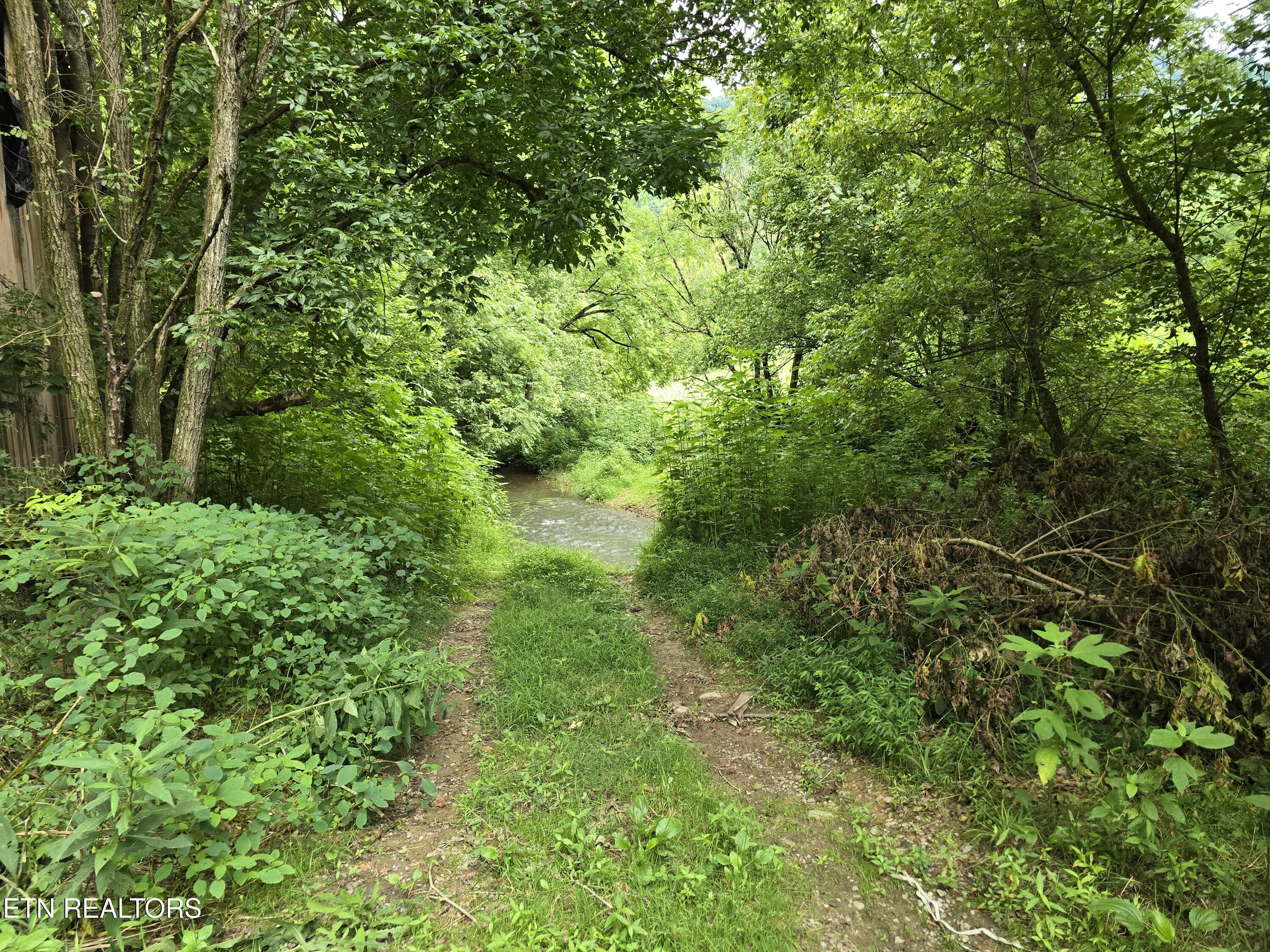 6835 Mulberry Gap Road Sneedville TN 37869