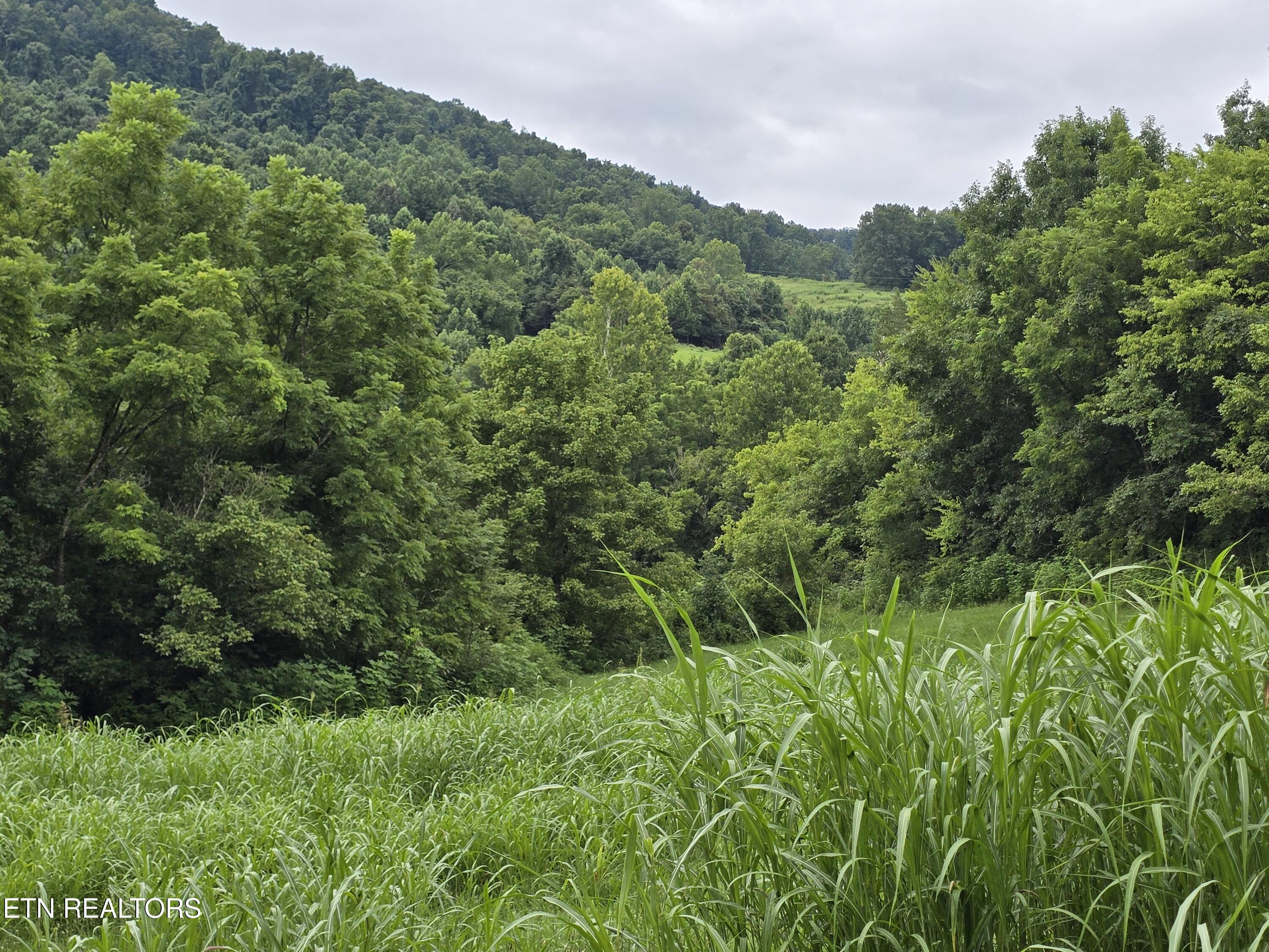 6835 Mulberry Gap Road Sneedville TN 37869