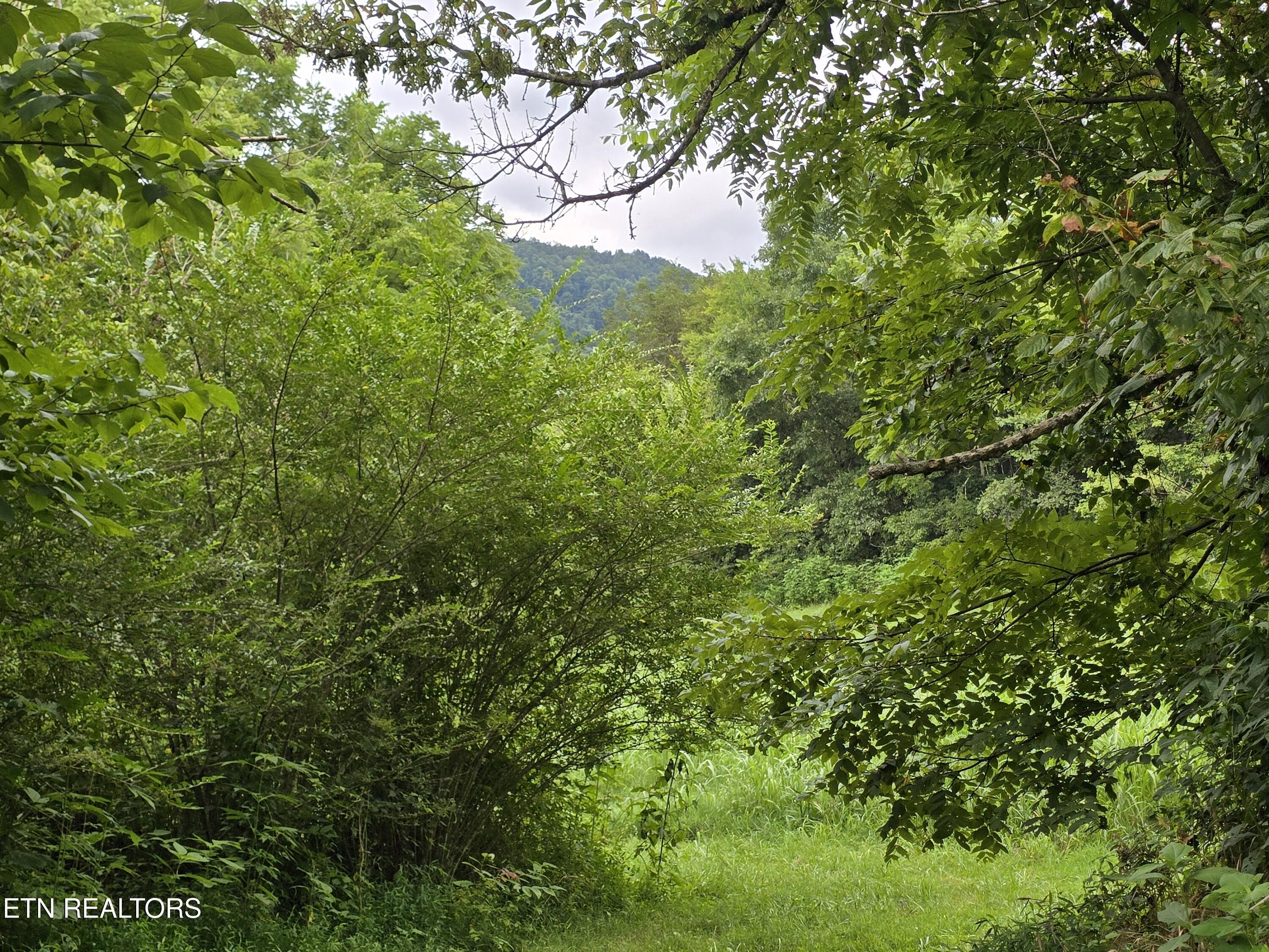6835 Mulberry Gap Road Sneedville TN 37869