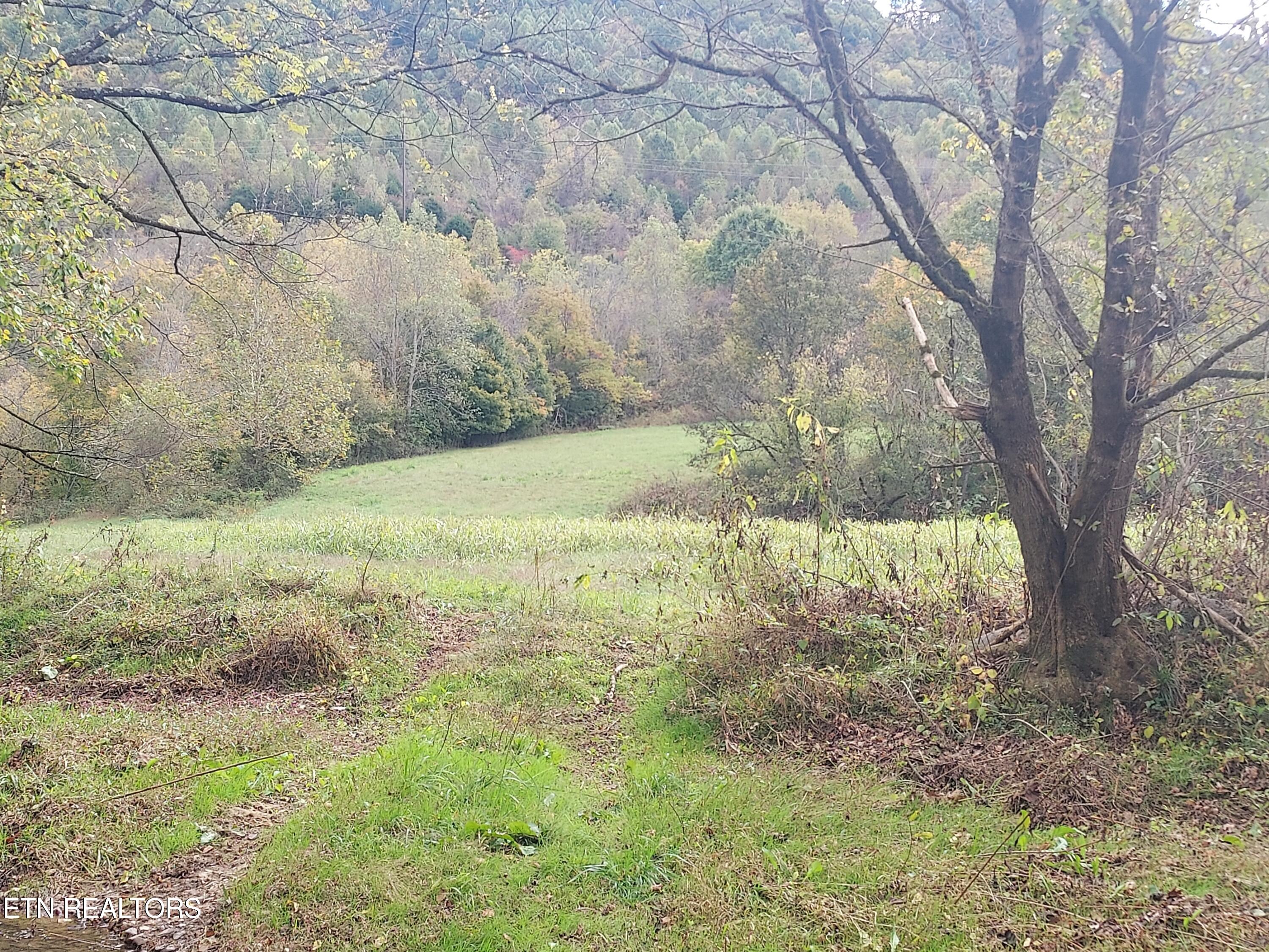 6835 Mulberry Gap Road Sneedville TN 37869