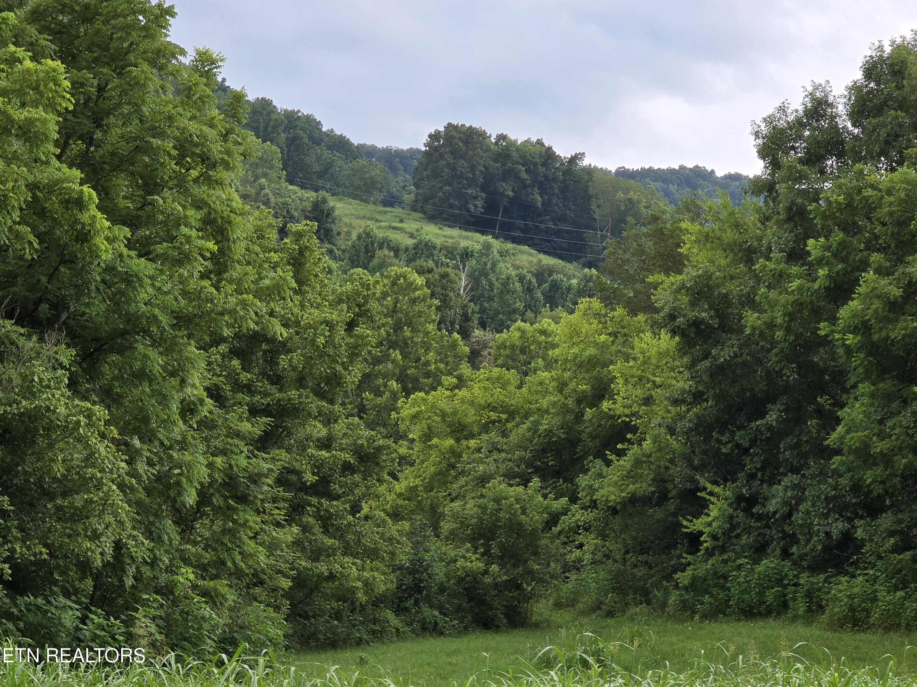 6835 Mulberry Gap Road Sneedville TN 37869