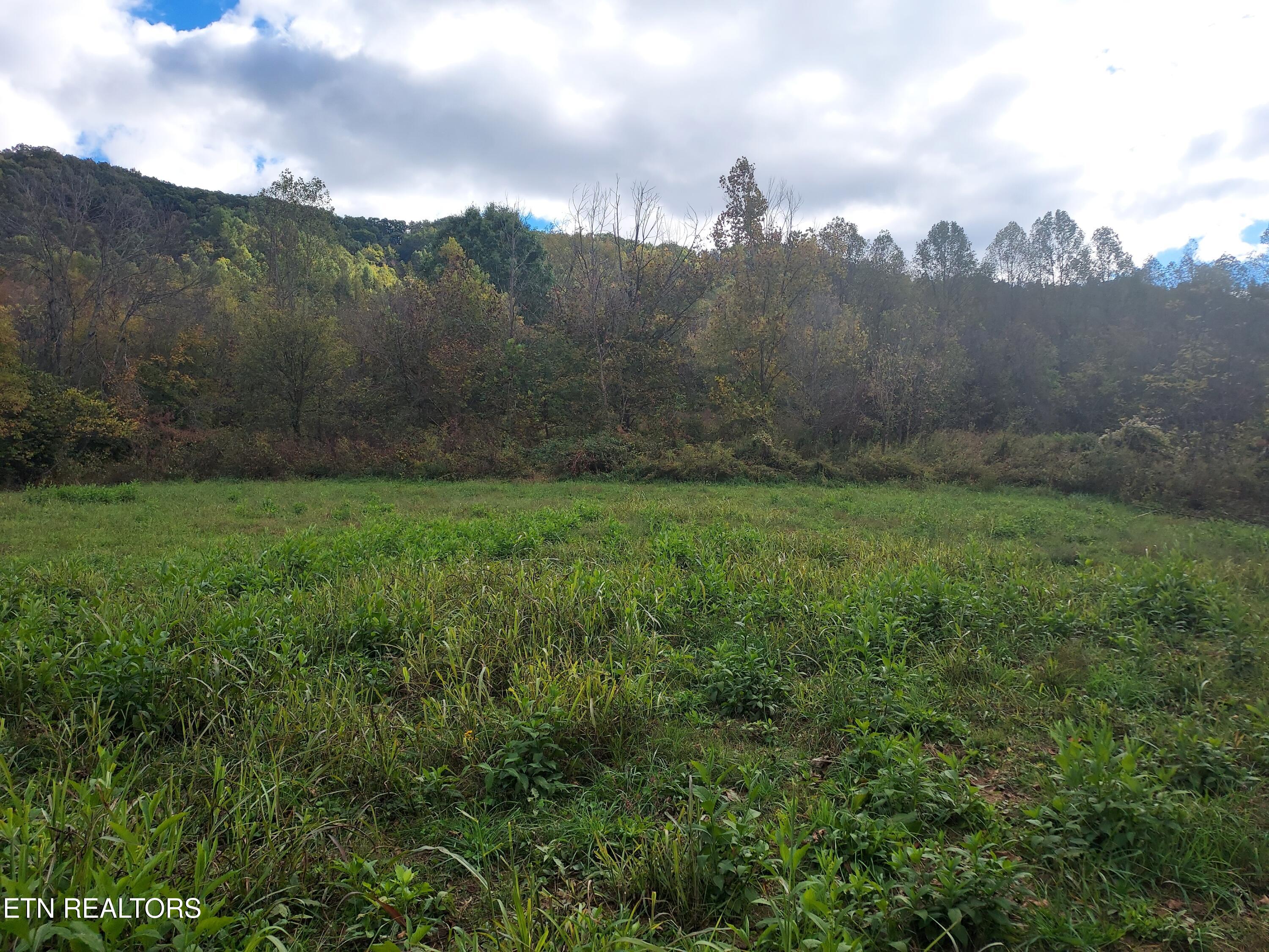 6835 Mulberry Gap Road Sneedville TN 37869