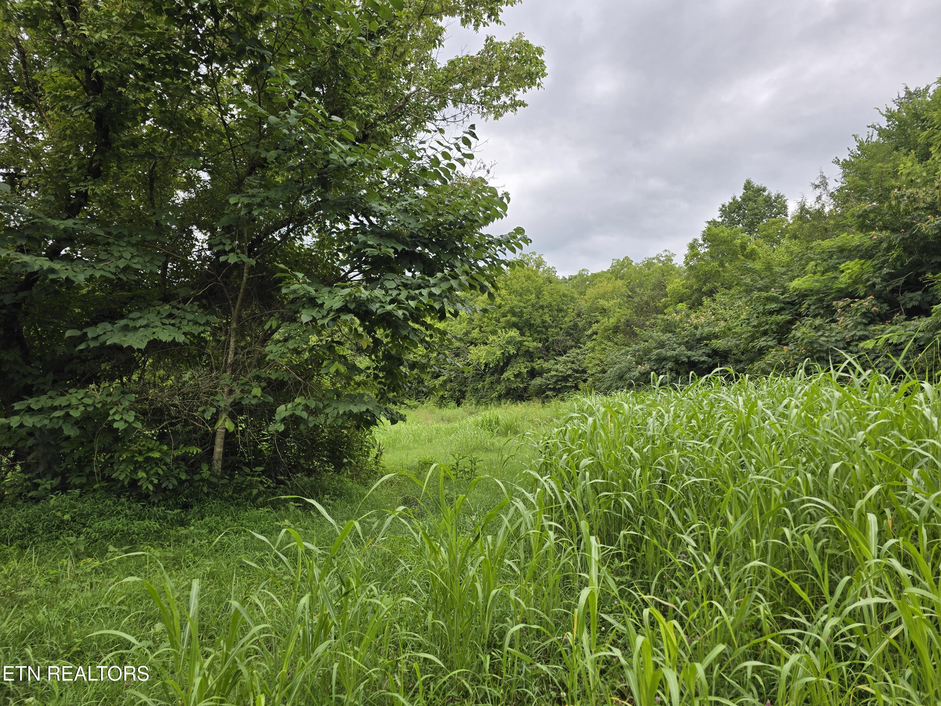 6835 Mulberry Gap Road Sneedville TN 37869