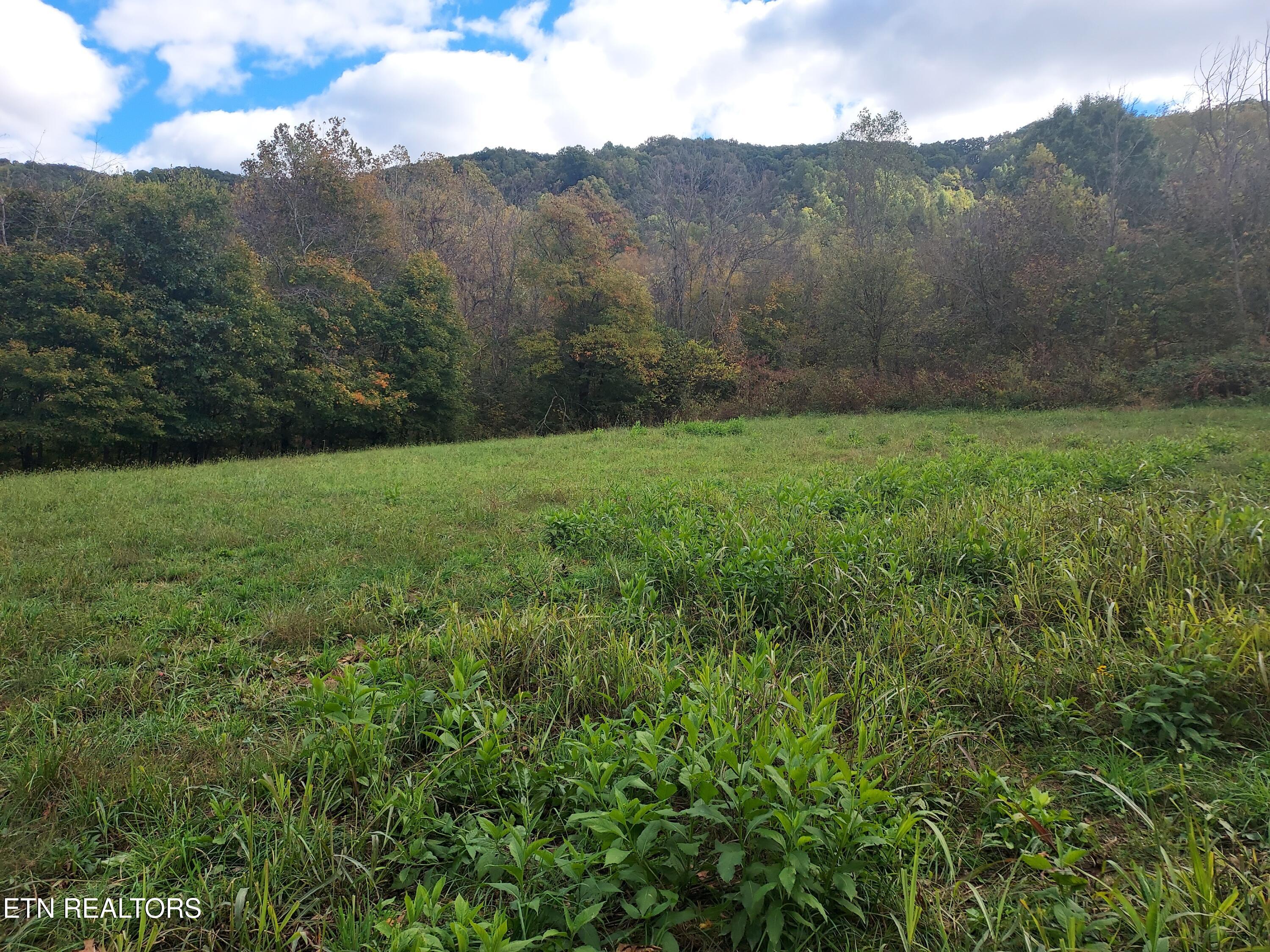 6835 Mulberry Gap Road Sneedville TN 37869