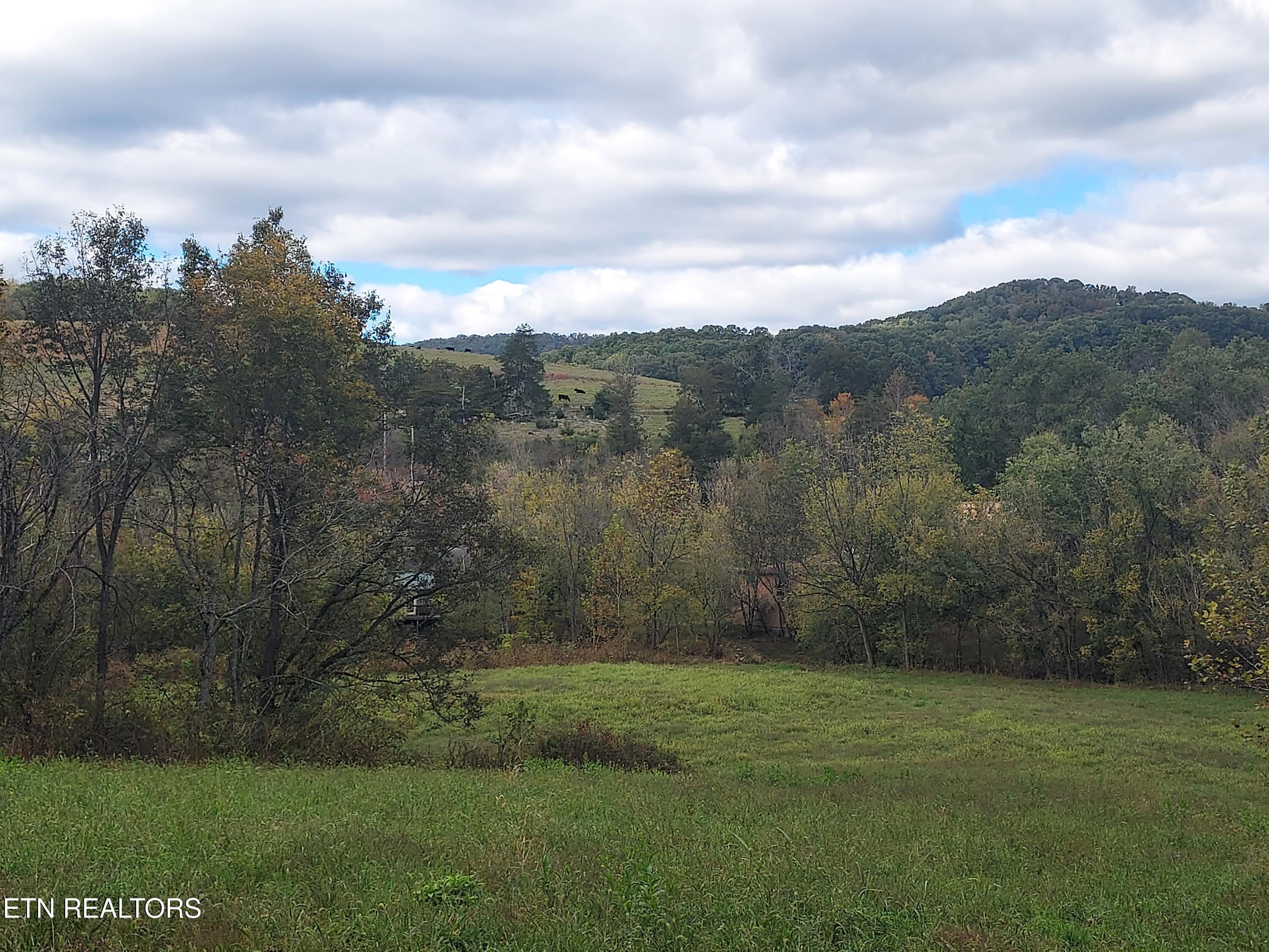 6835 Mulberry Gap Road Sneedville TN 37869